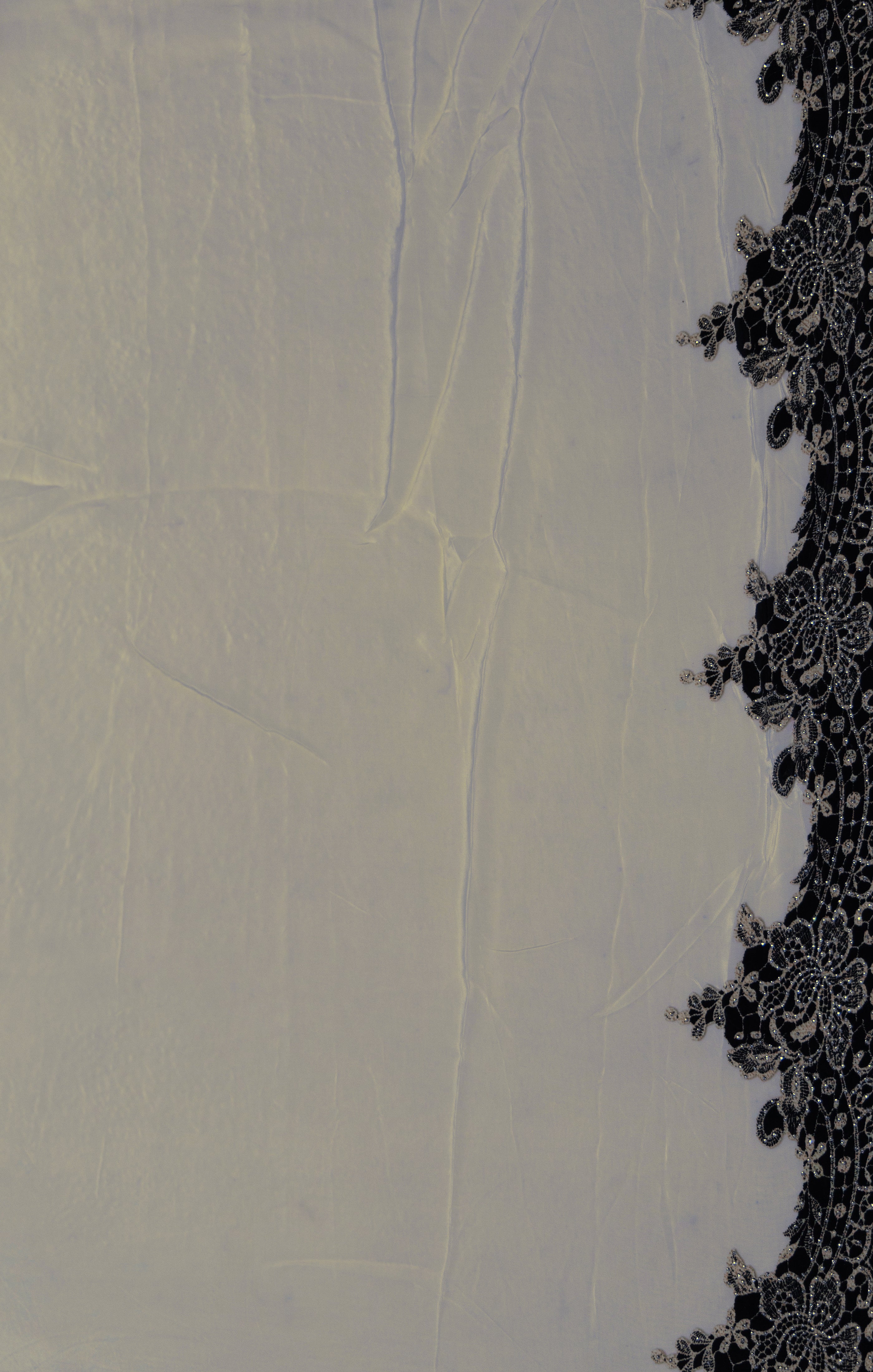 Chiffon Swarovski Saree