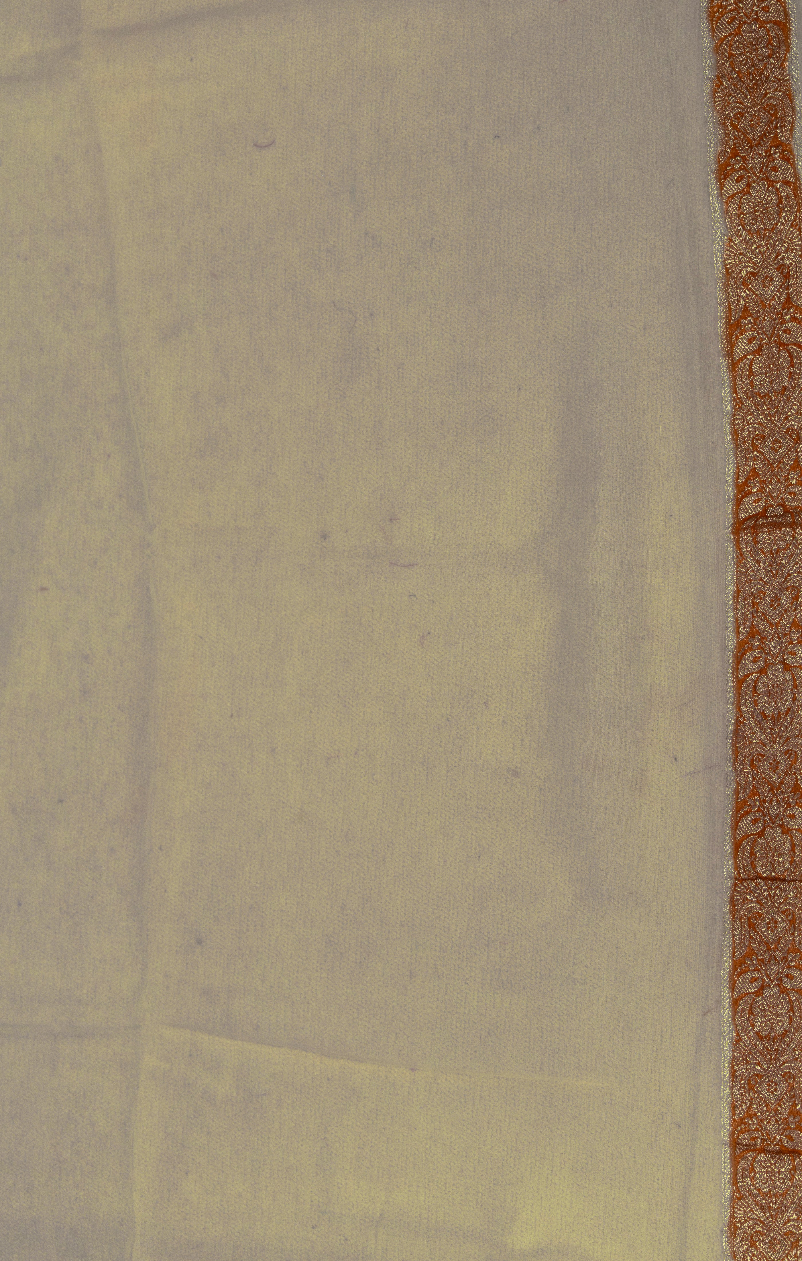 Chiffon Banarasi