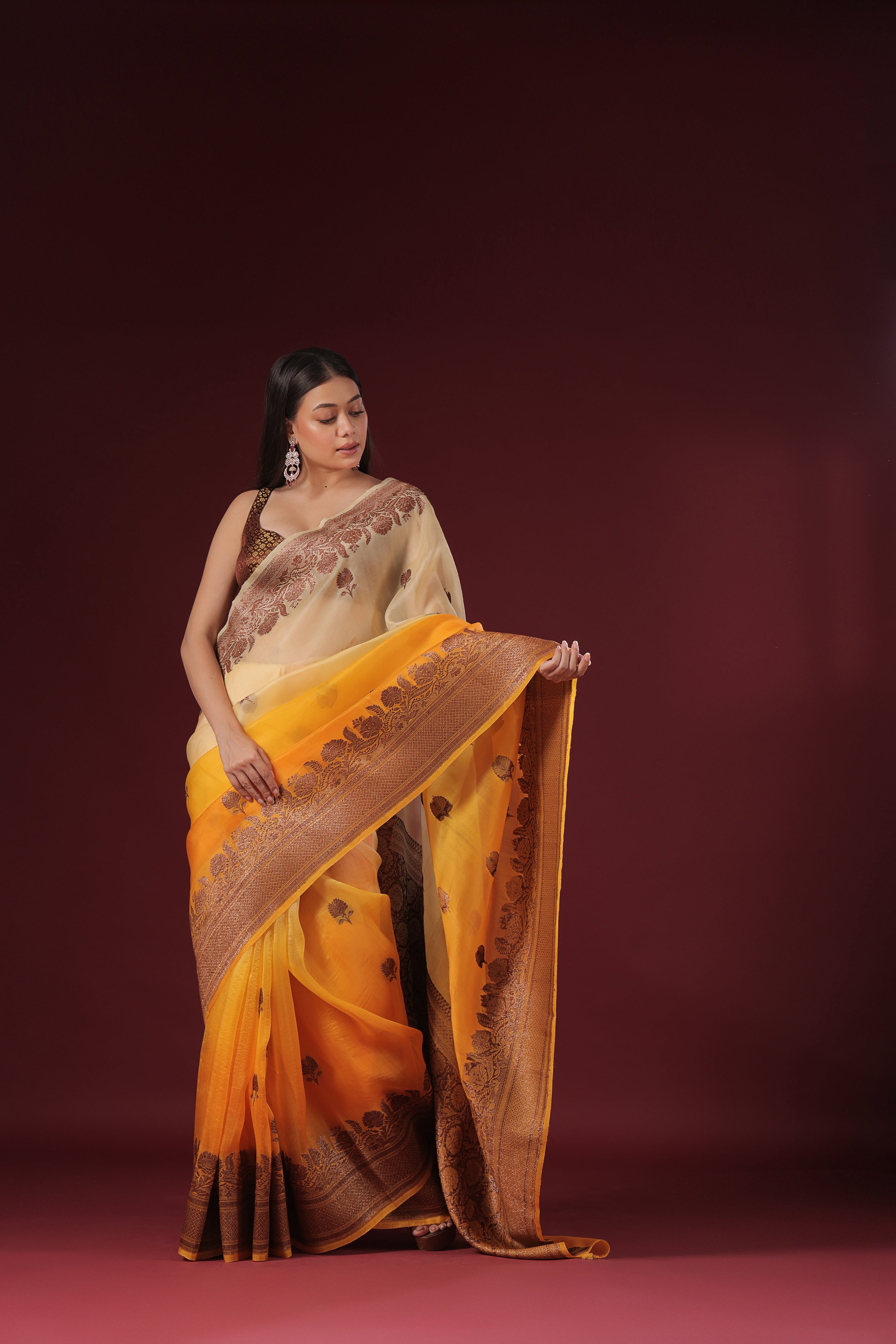 Shaded Kora Banarasi