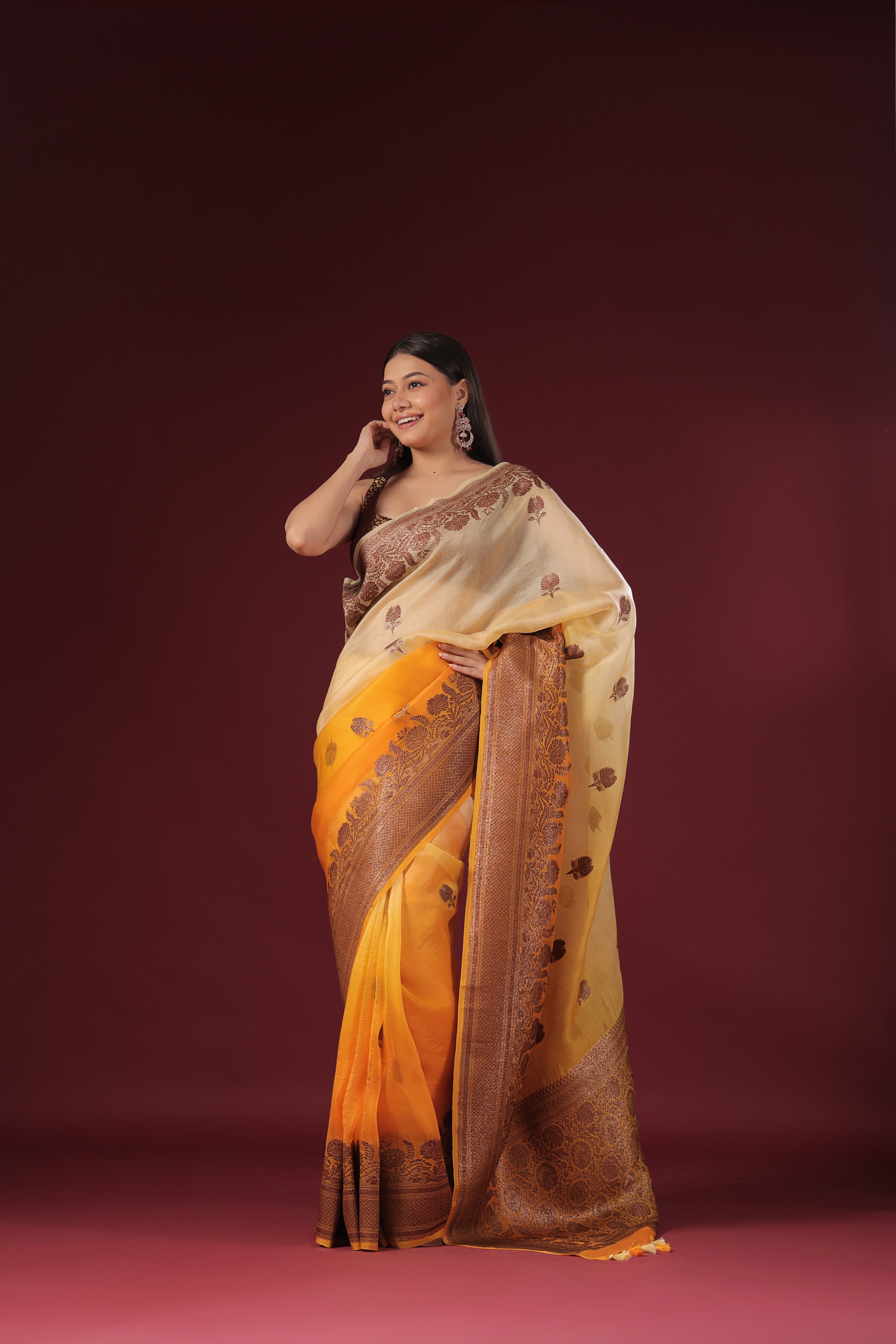 Shaded Kora Banarasi