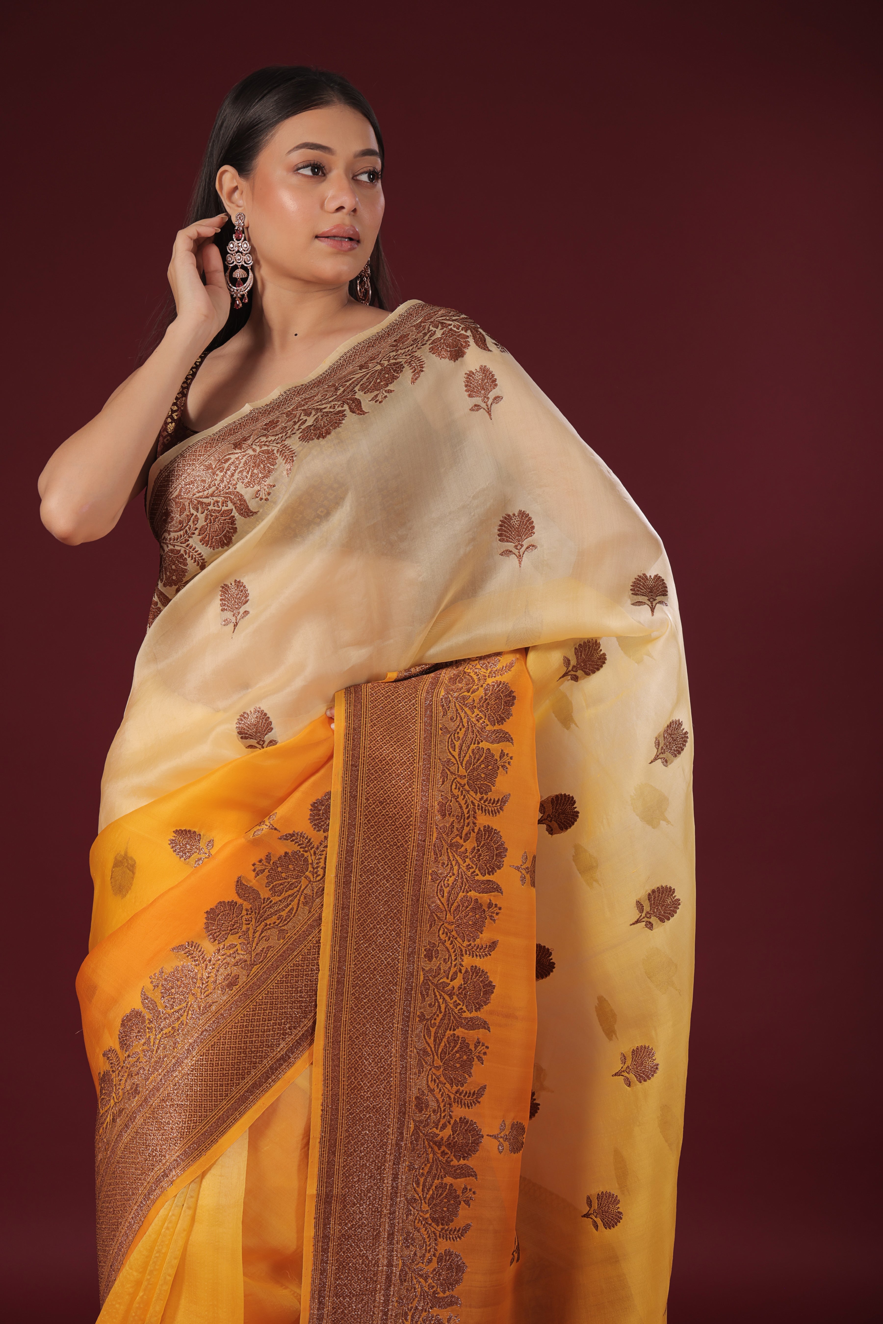 Shaded Kora Banarasi