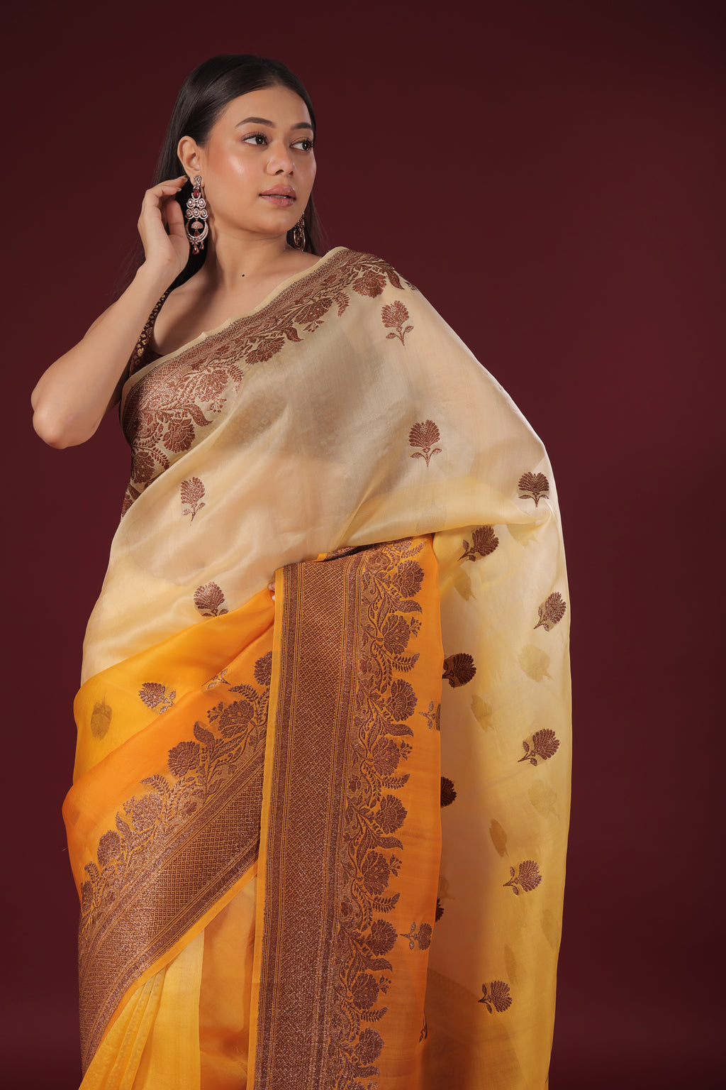 Shaded Kora Banarasi