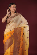 Shaded Kora Banarasi