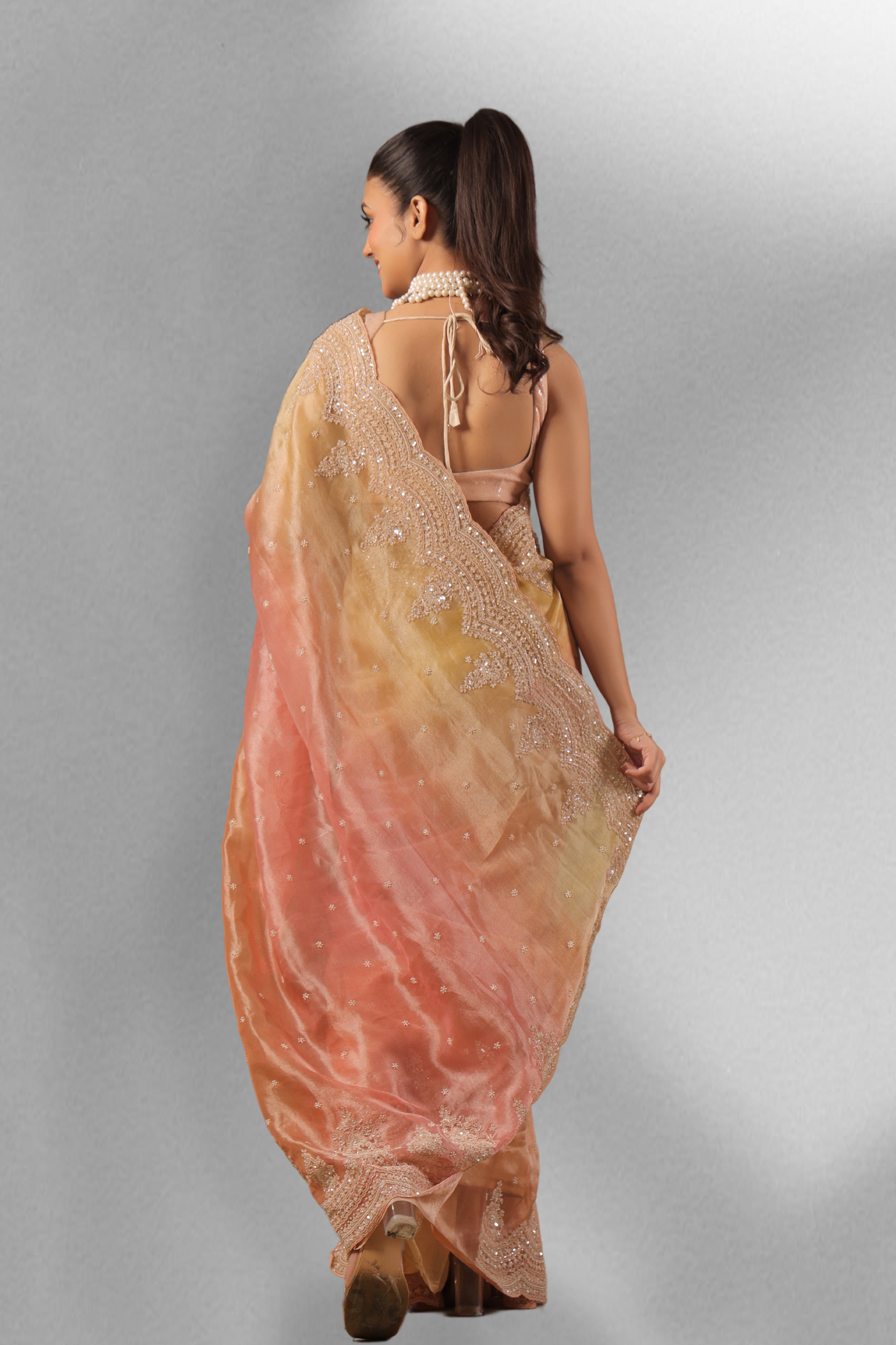 Exclusive Shaded Tissue Zardosi