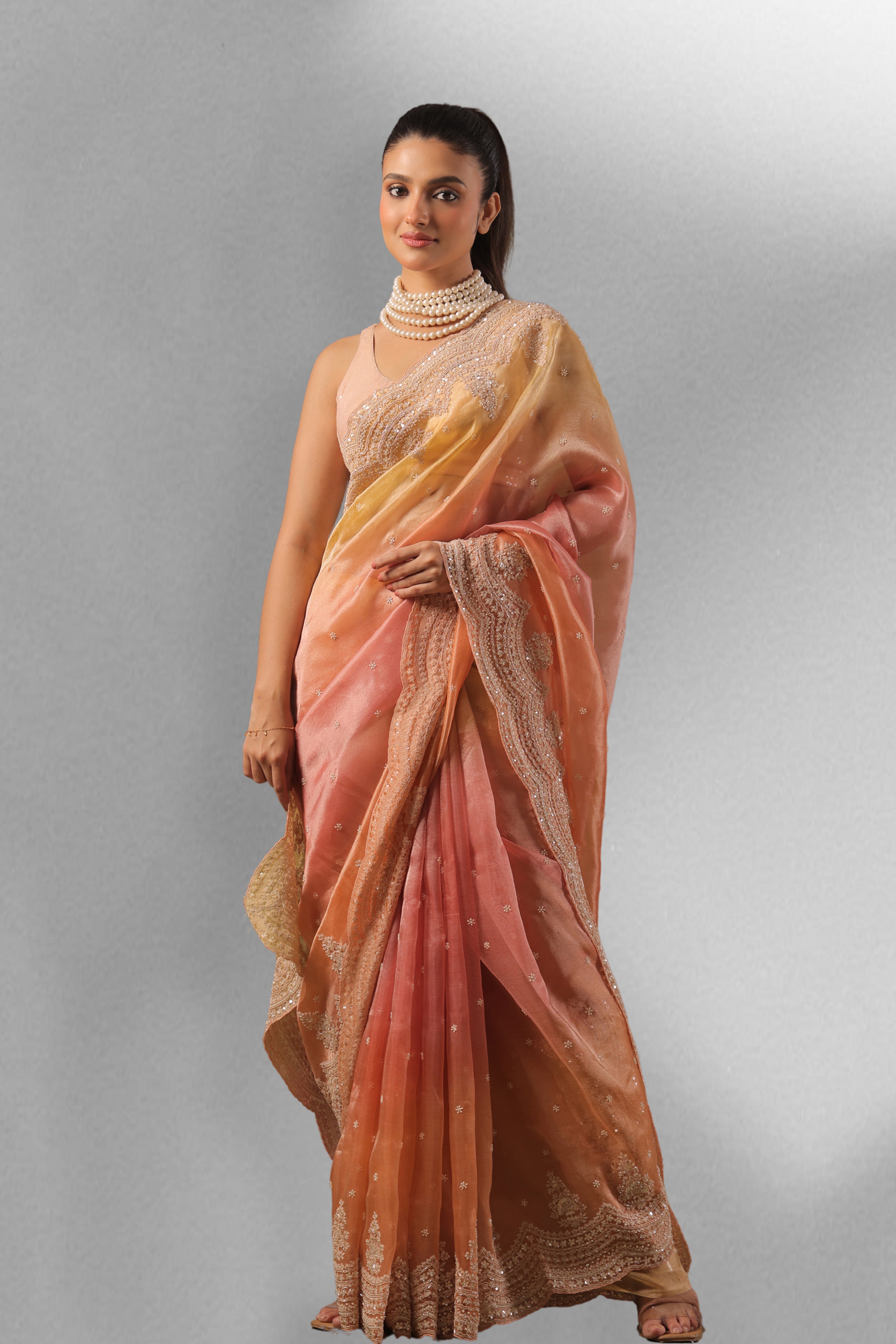 Exclusive Shaded Tissue Zardosi