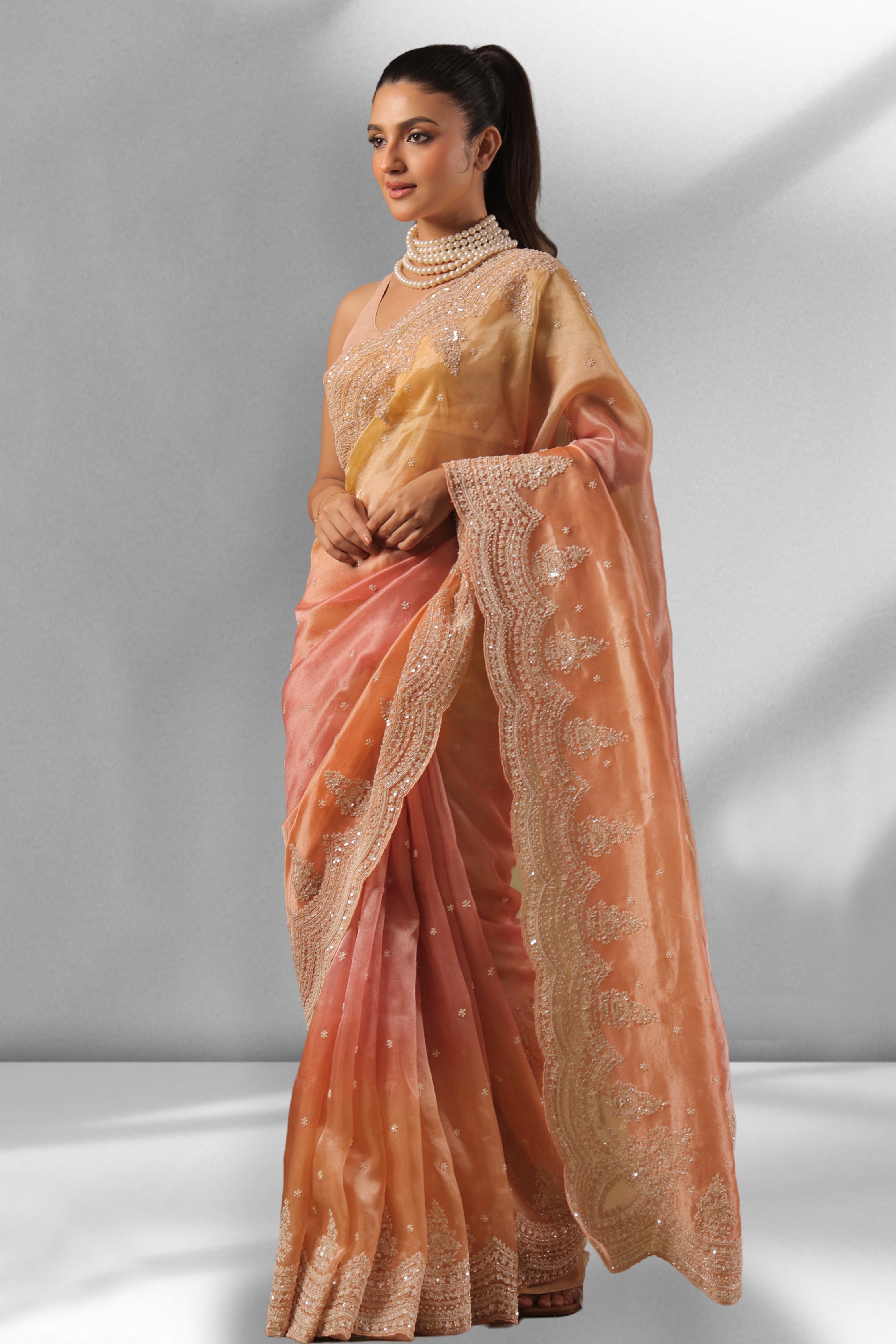 Exclusive Shaded Tissue Zardosi