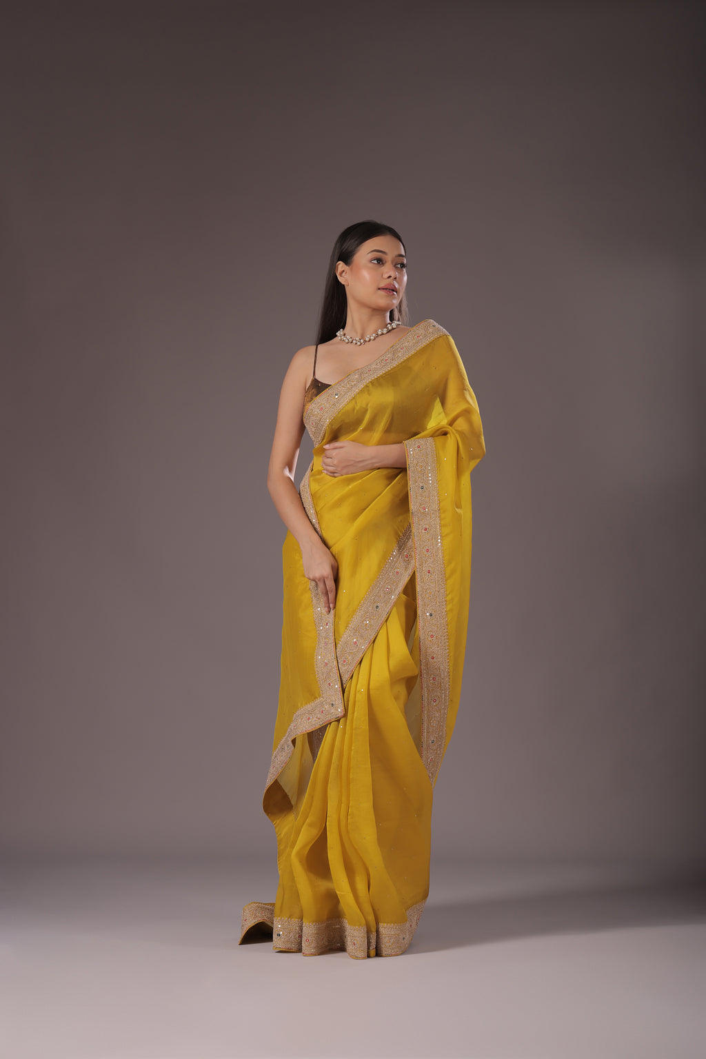 Organza Zari Border
