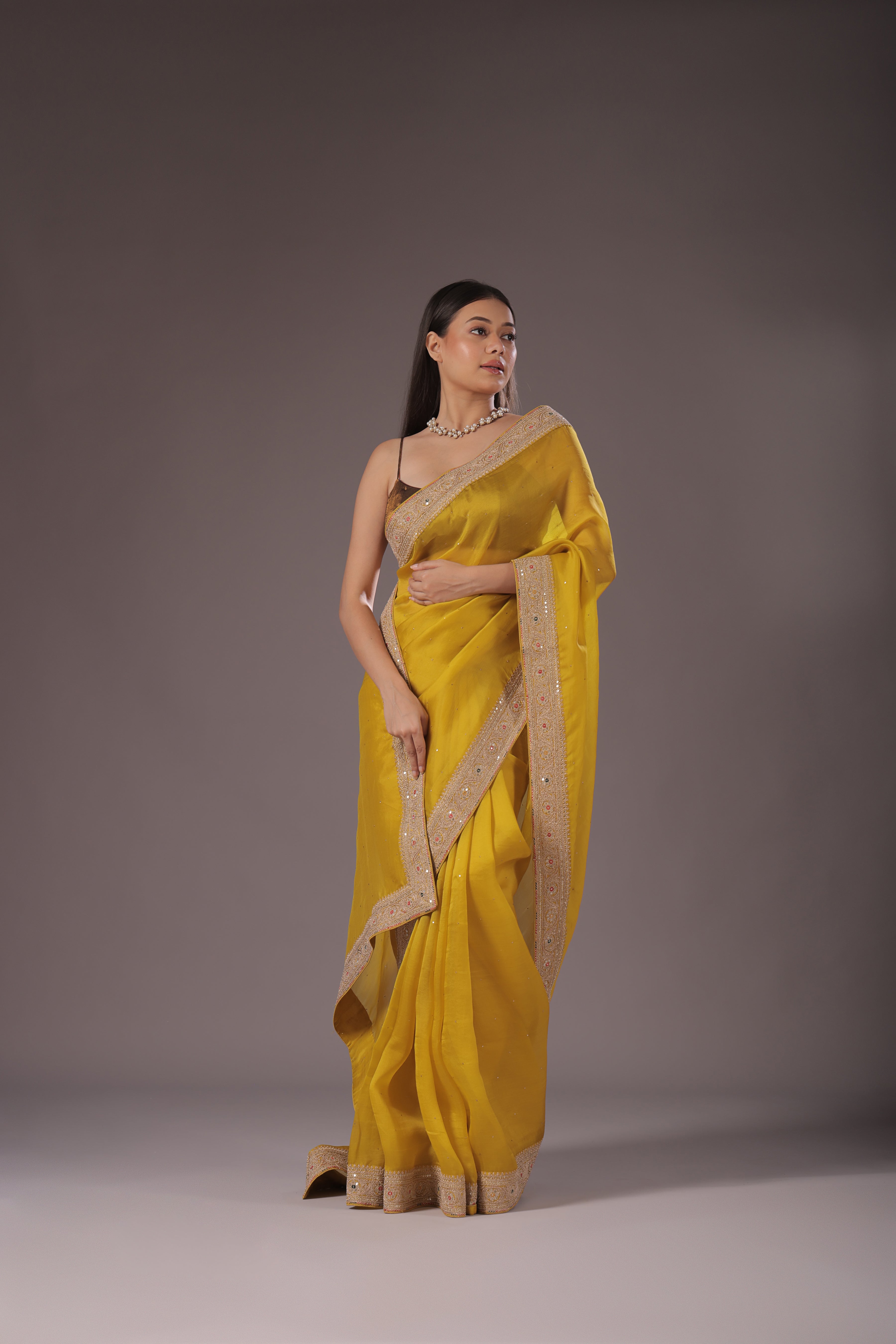Organza Zari Border