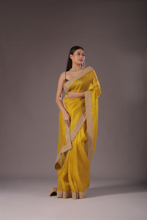 Organza Zari Border