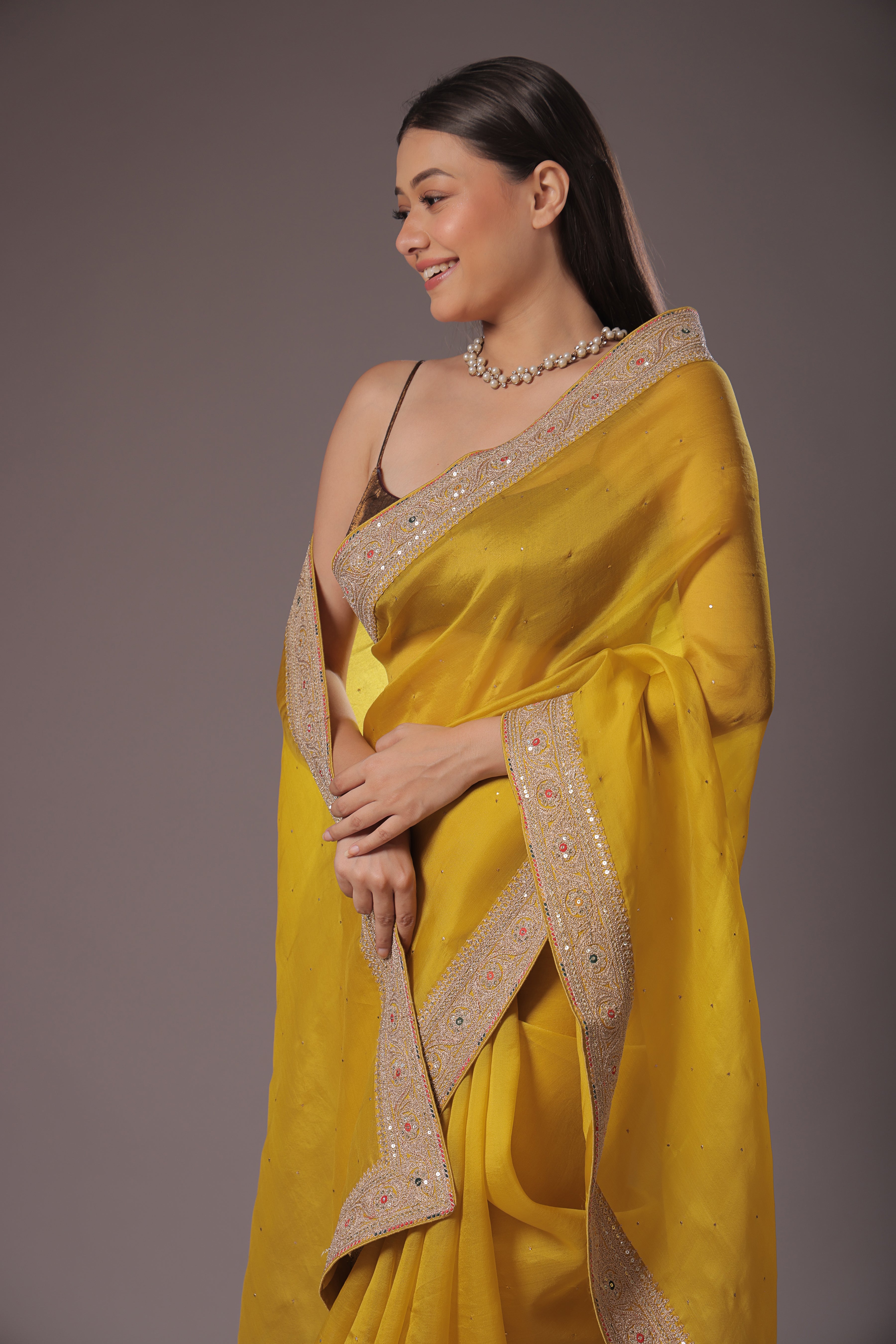 Organza Zari Border