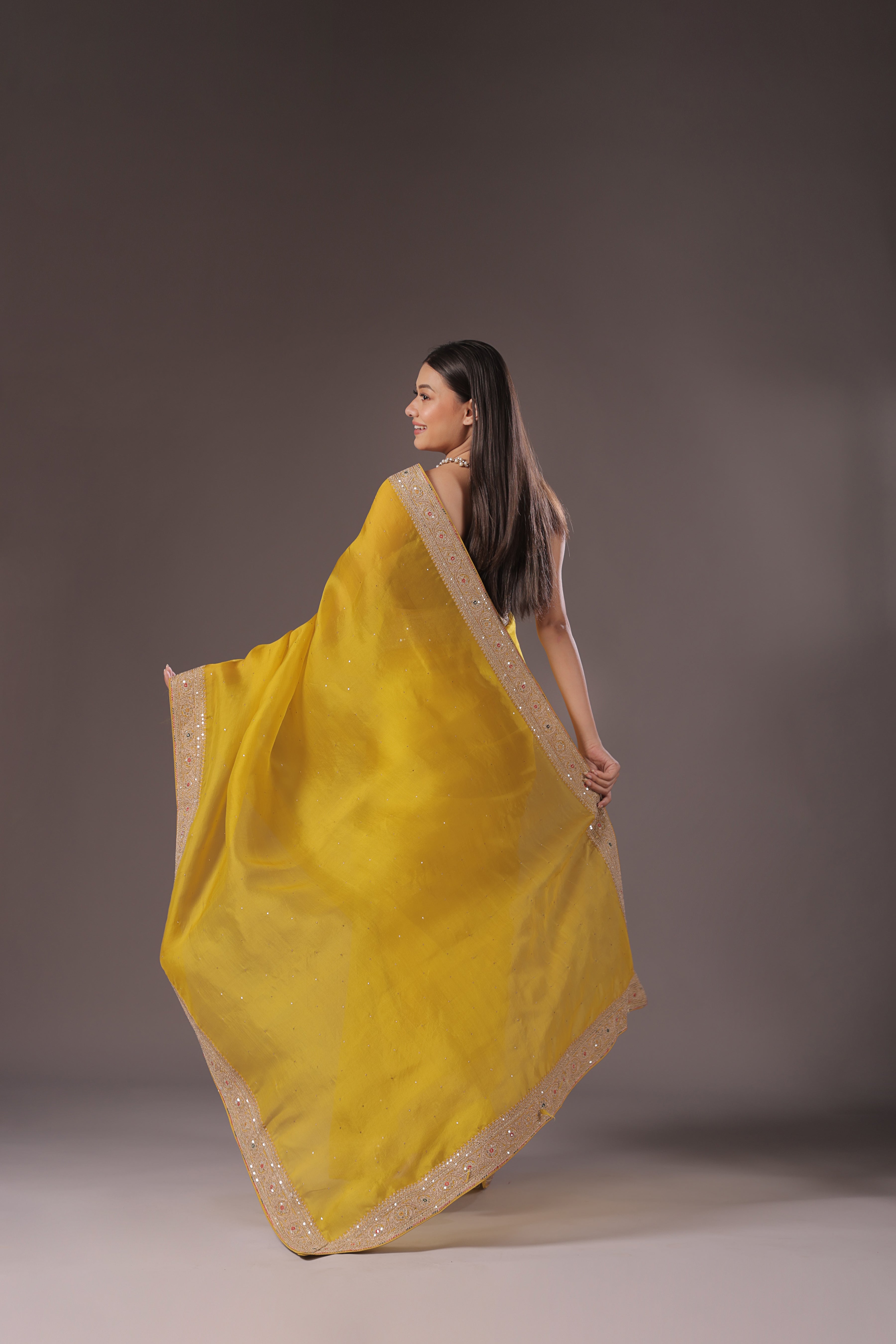 Organza Zari Border
