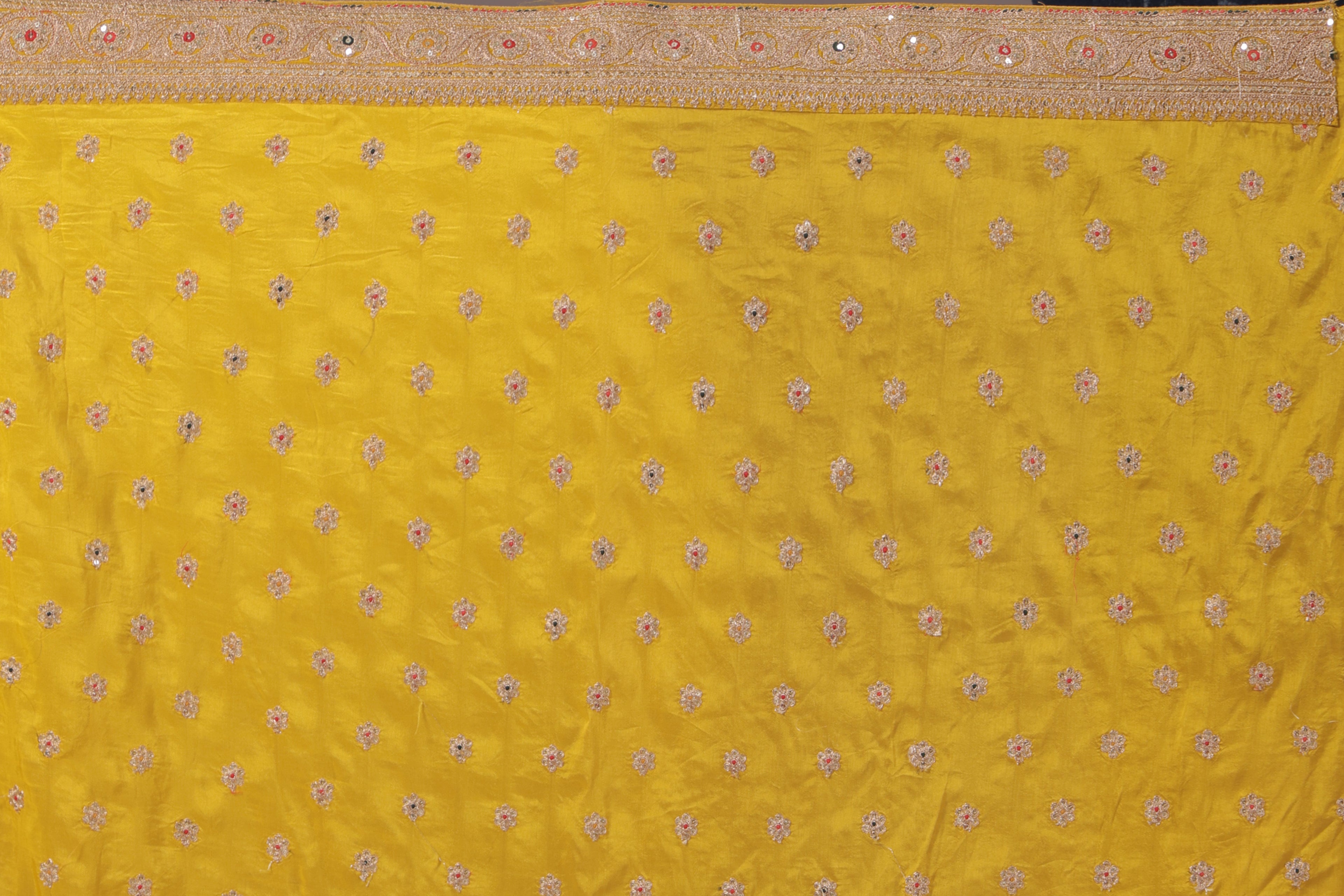 Organza Zari Border
