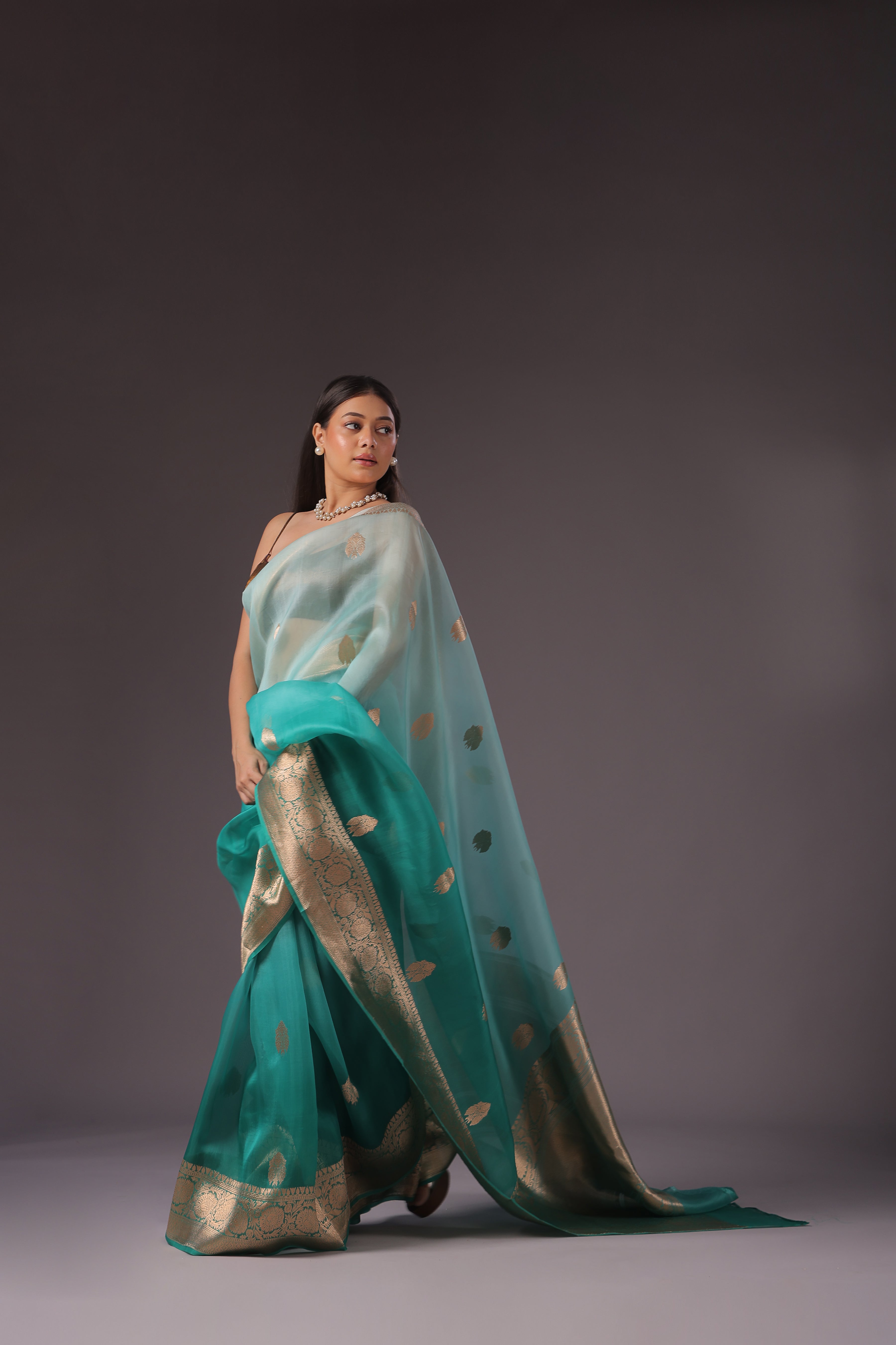 Shaded Kora Banarasi