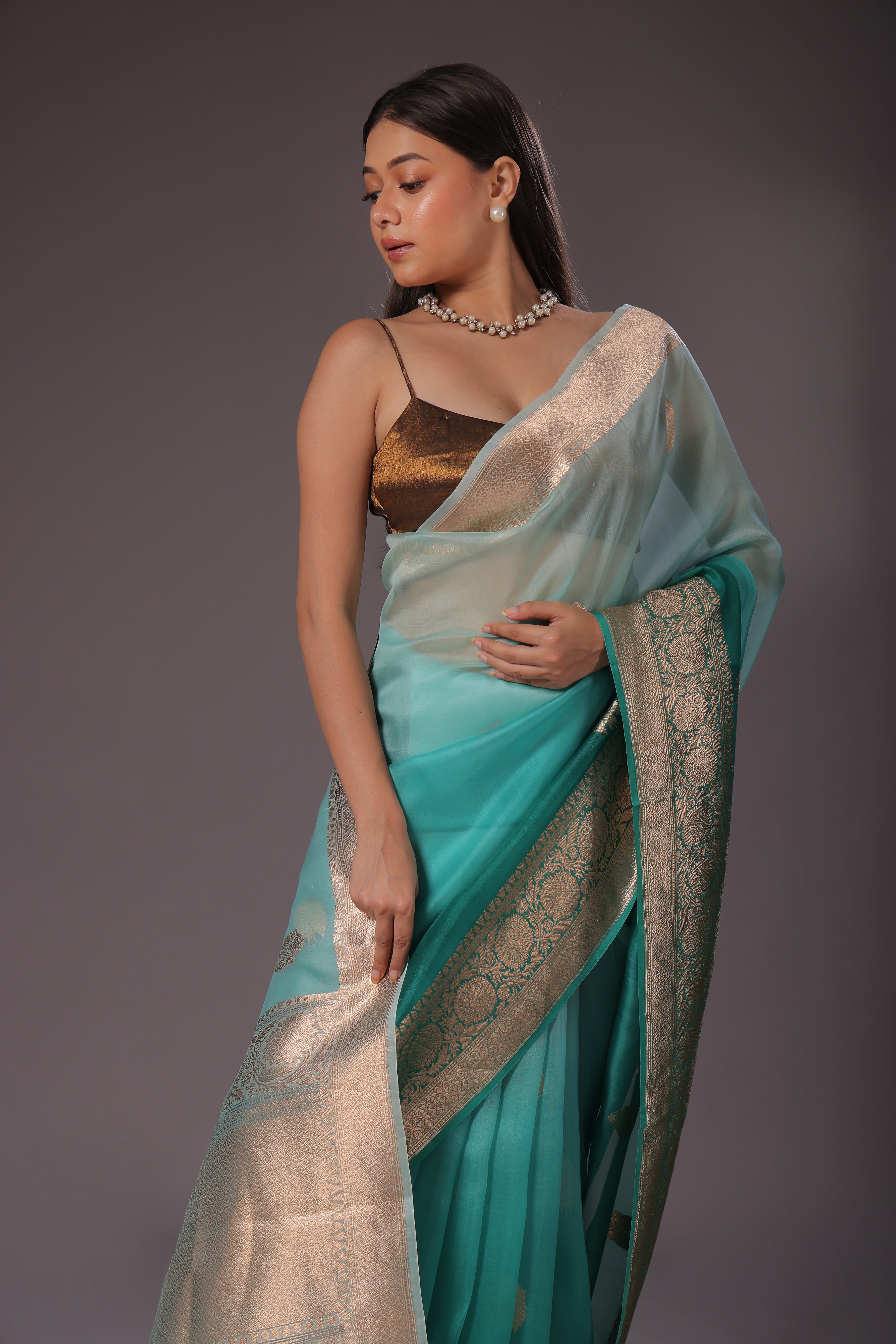 Shaded Kora Banarasi