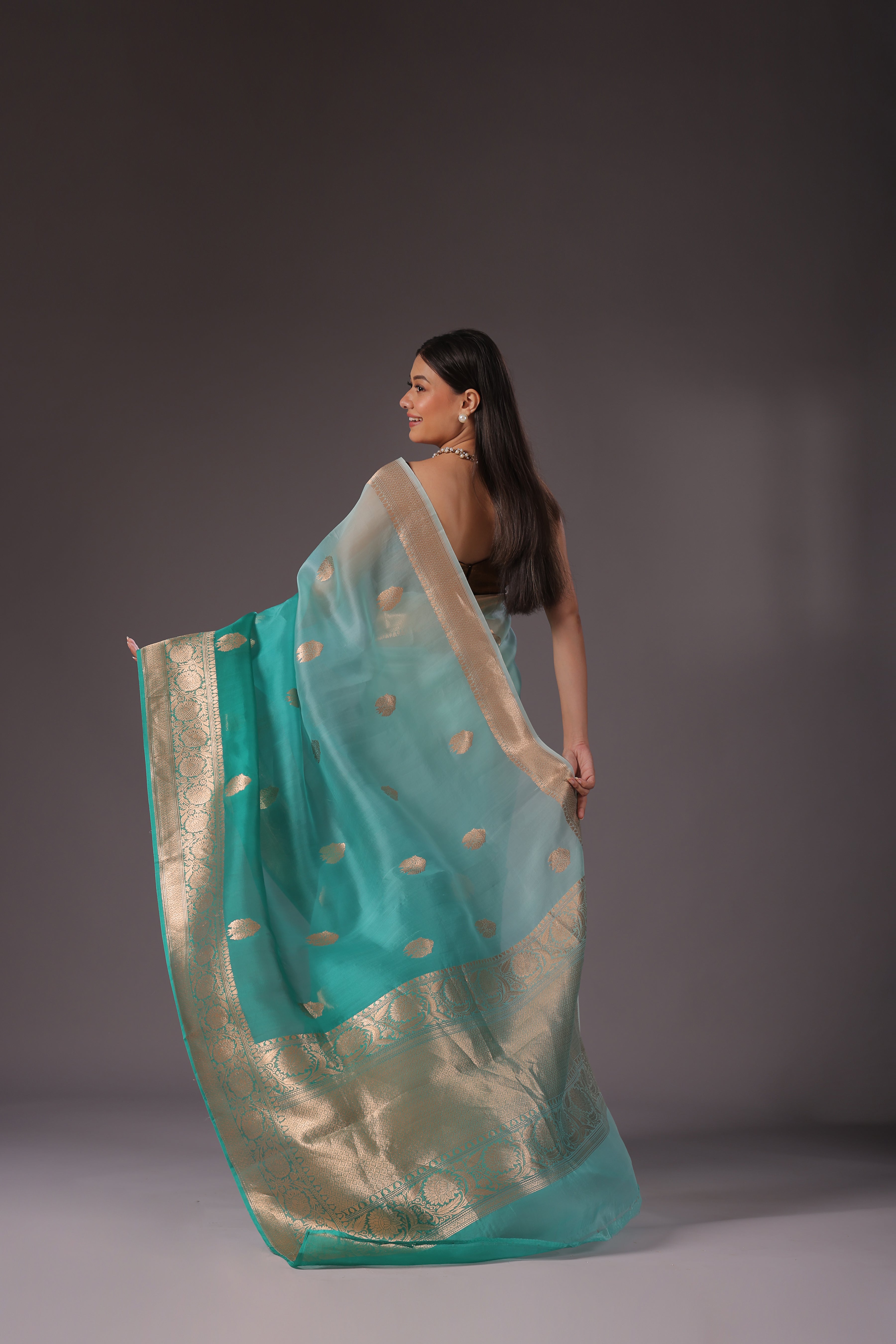 Shaded Kora Banarasi