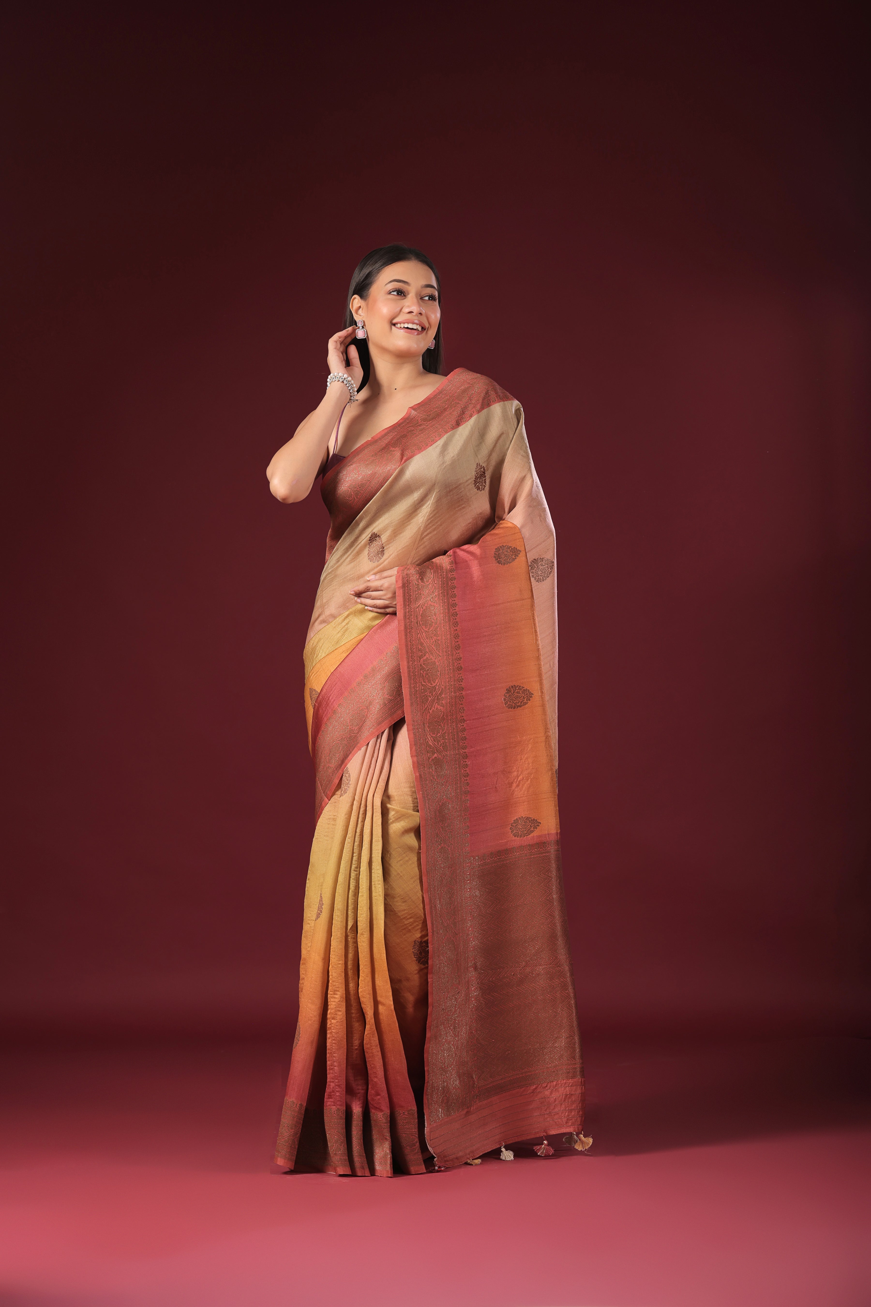 Shaded Tussar Banarasi