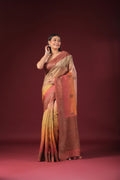 Shaded Tussar Banarasi