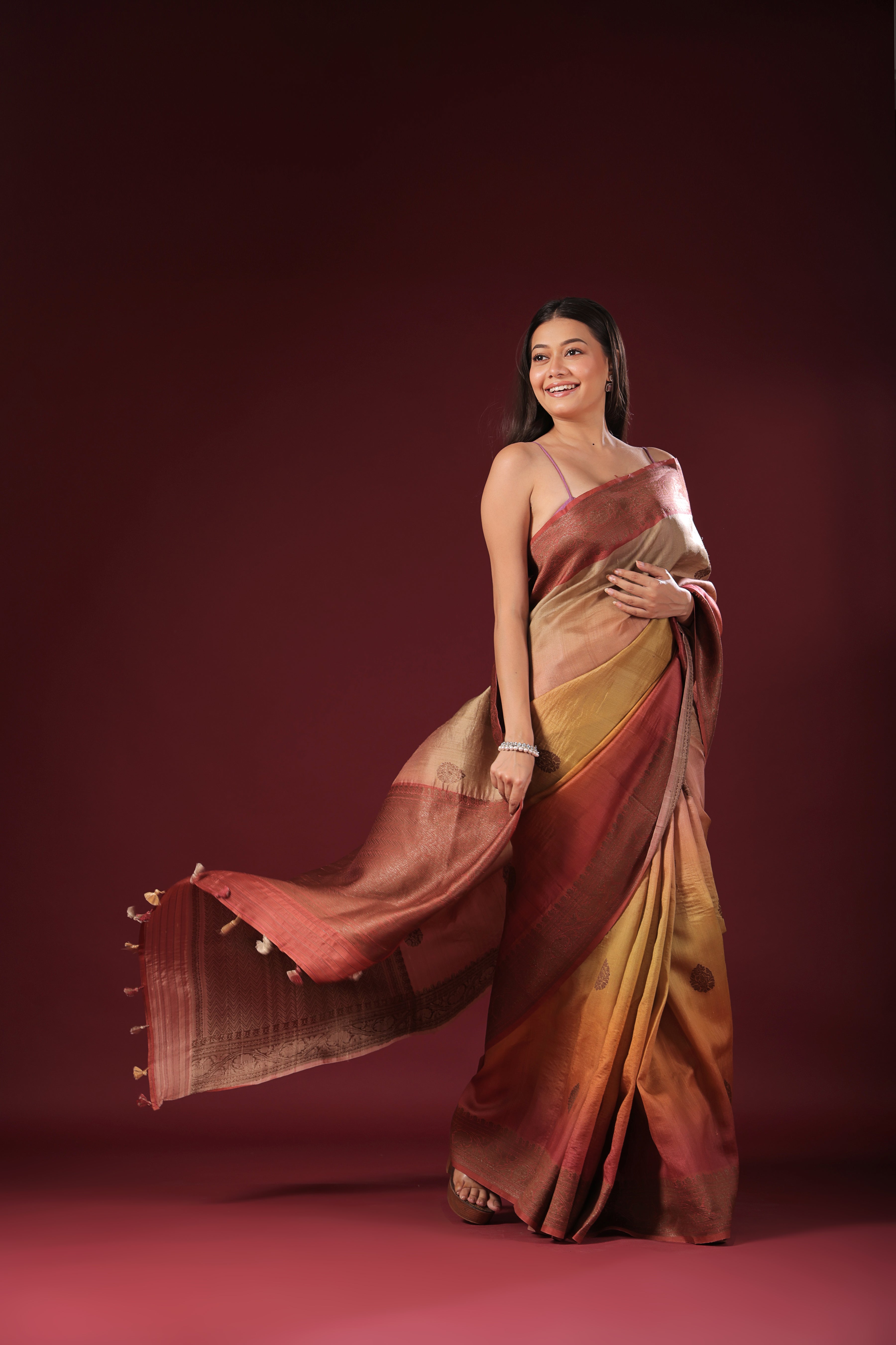 Shaded Tussar Banarasi