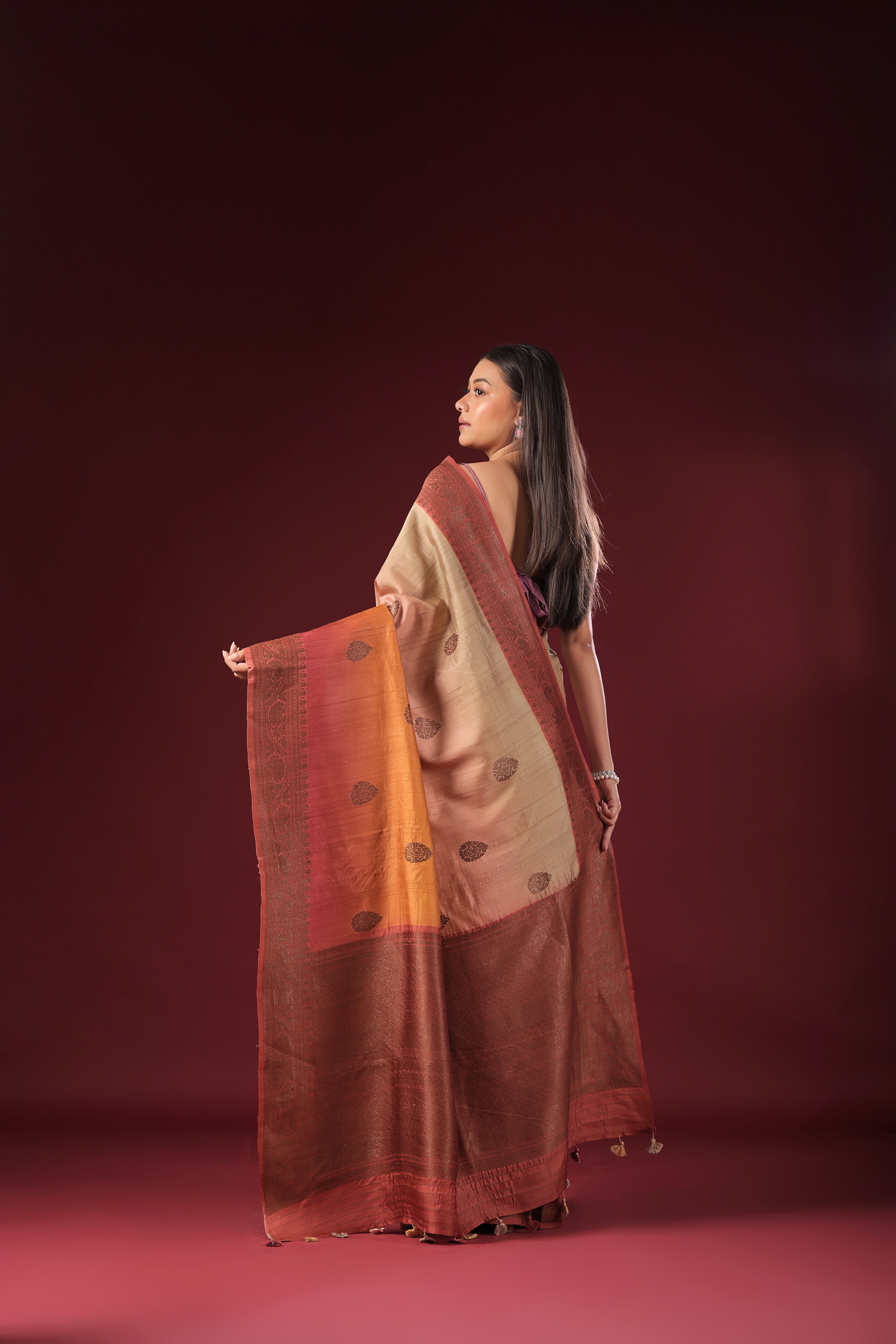 Shaded Tussar Banarasi