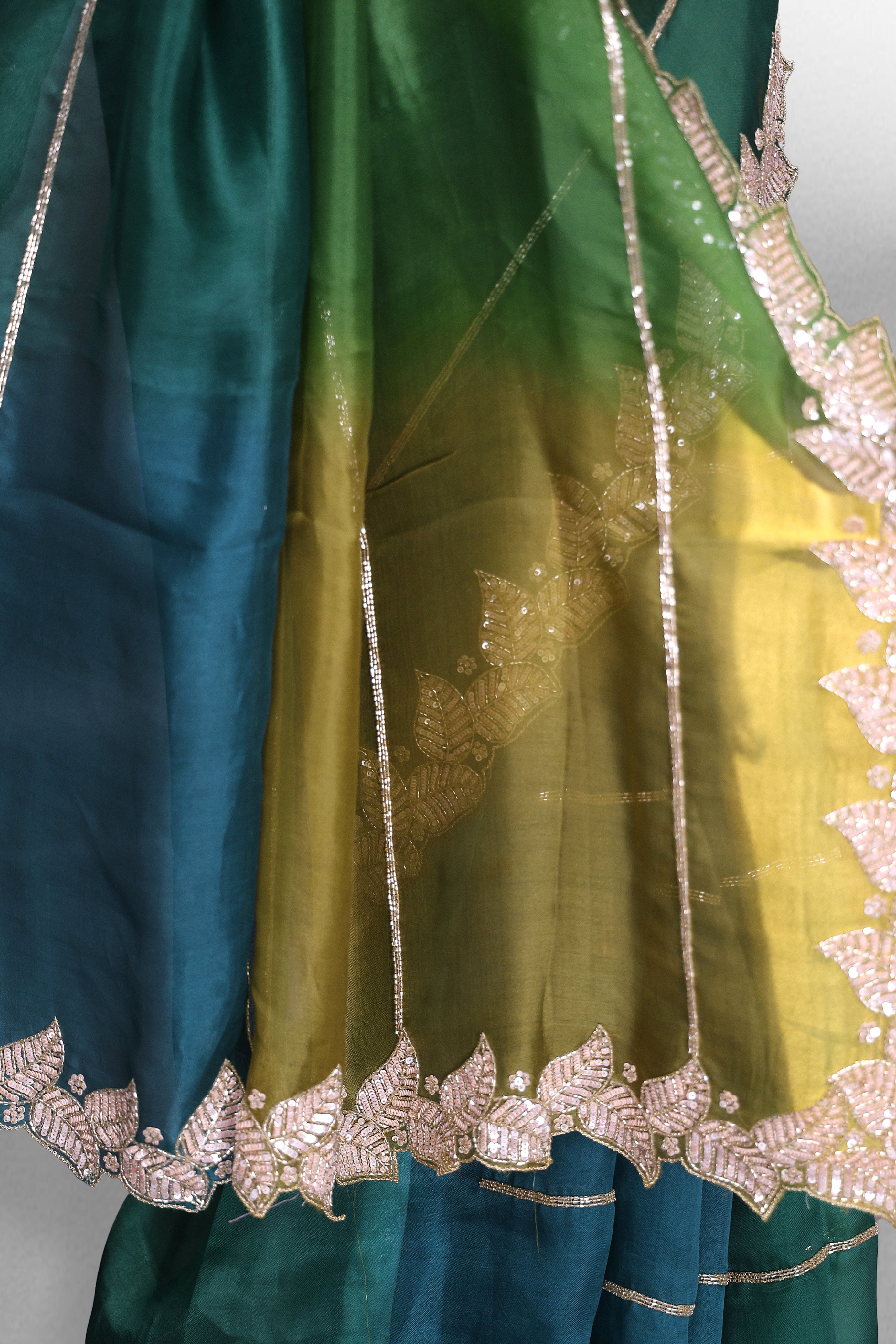 Organza Shaded Zardosi Work