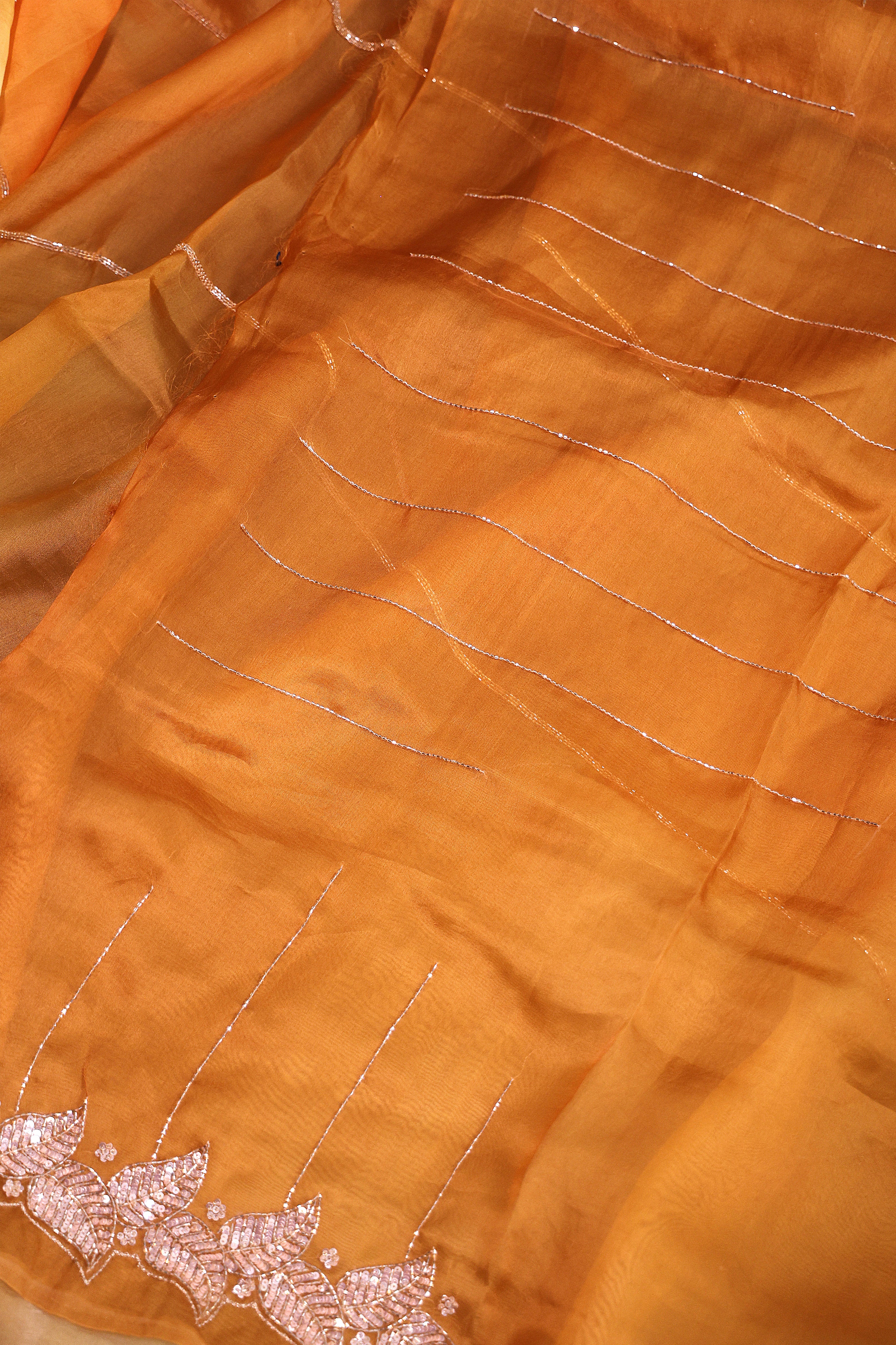 Organza Shaded Zardosi Work