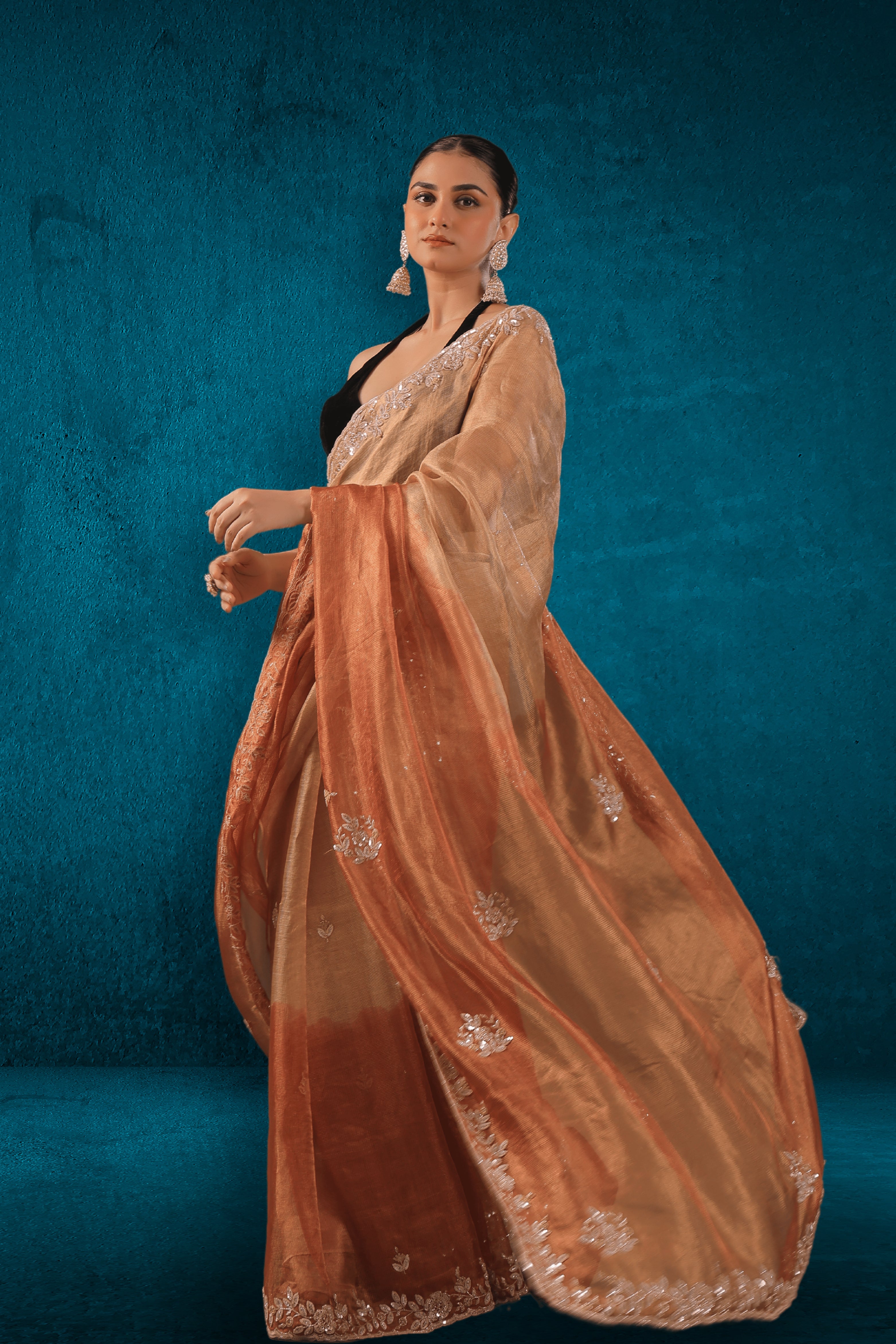 Shaded Tissue Zardosi Work