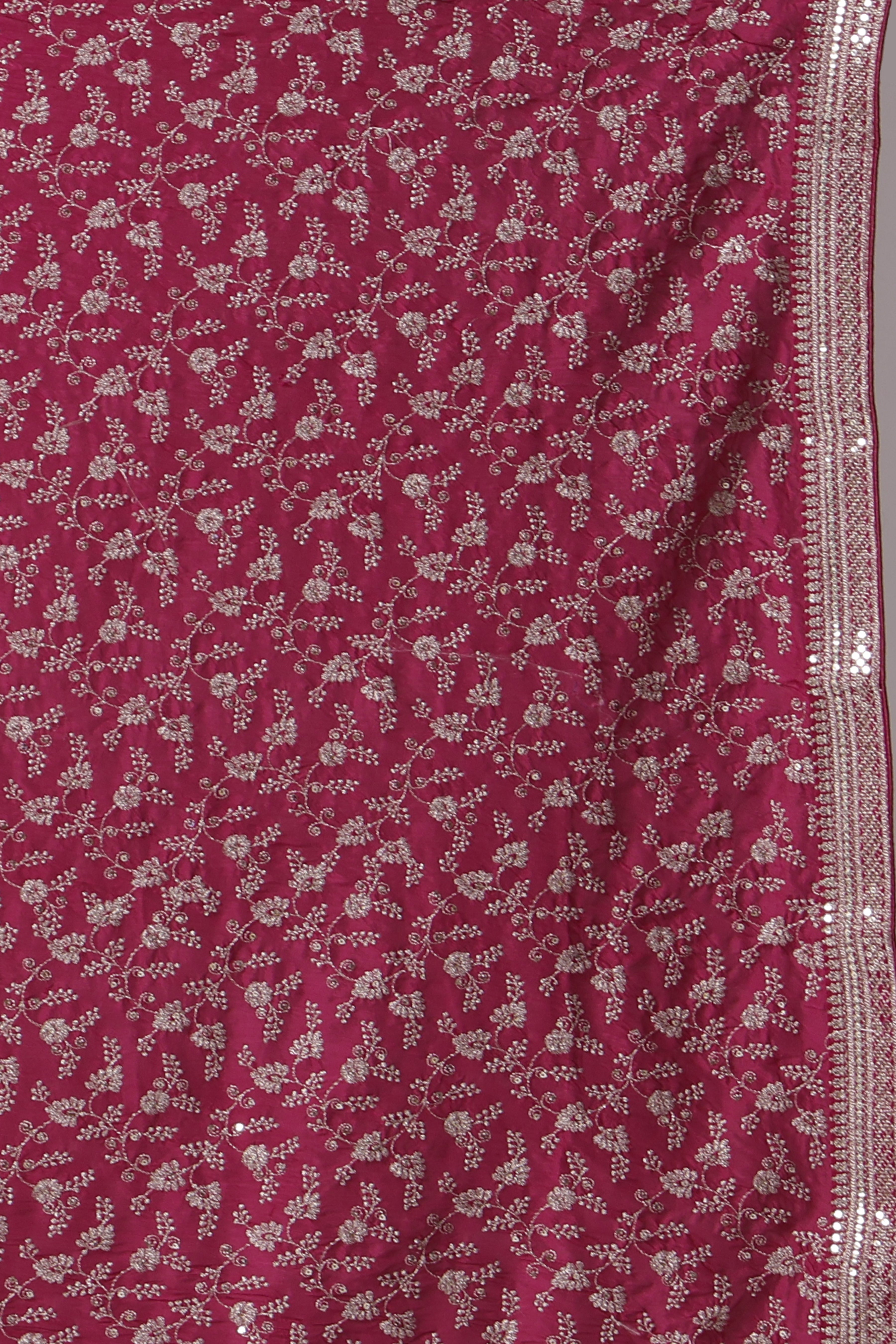 Checks Organza Zari Border