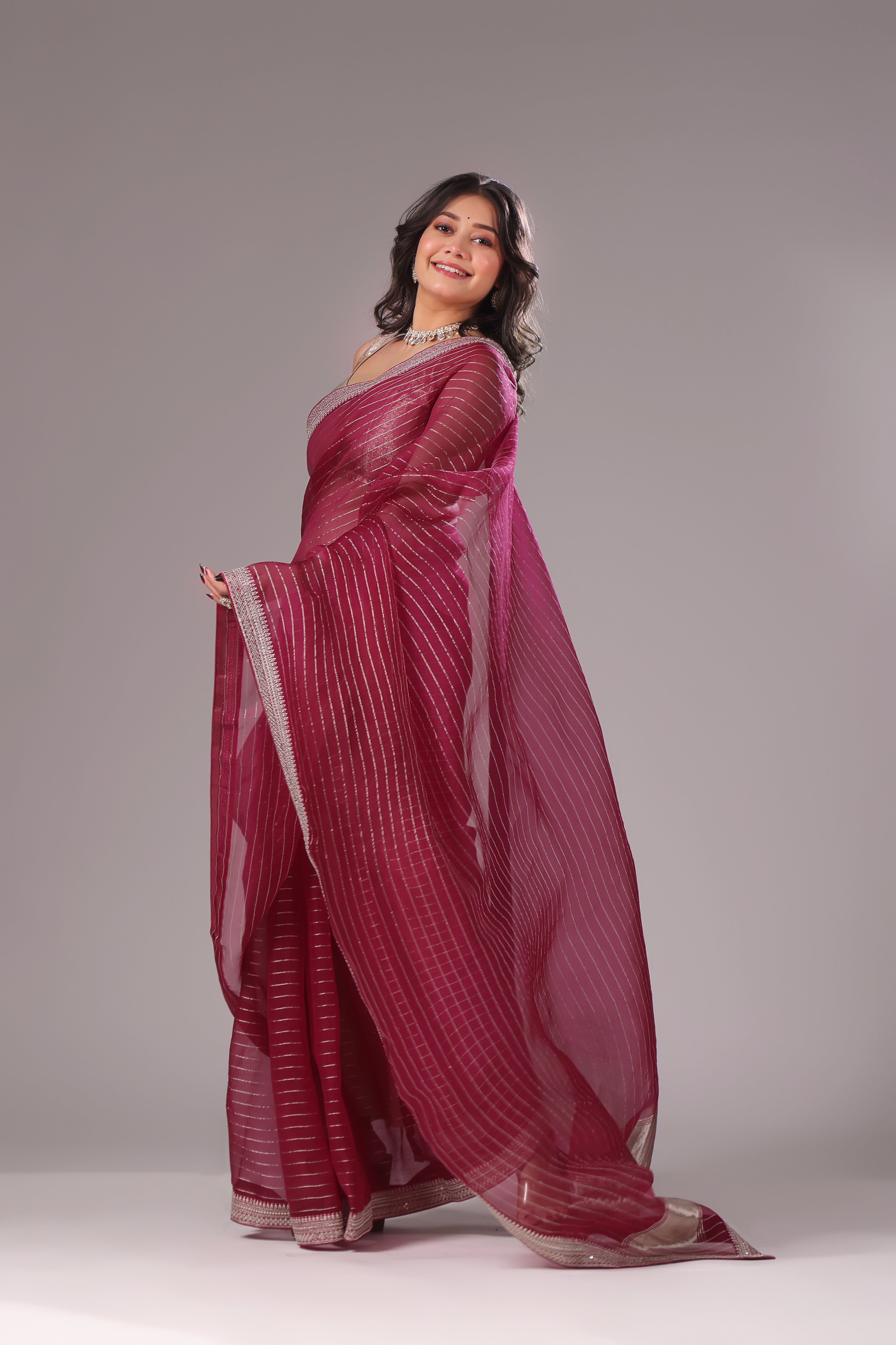 Checks Organza Zari Border