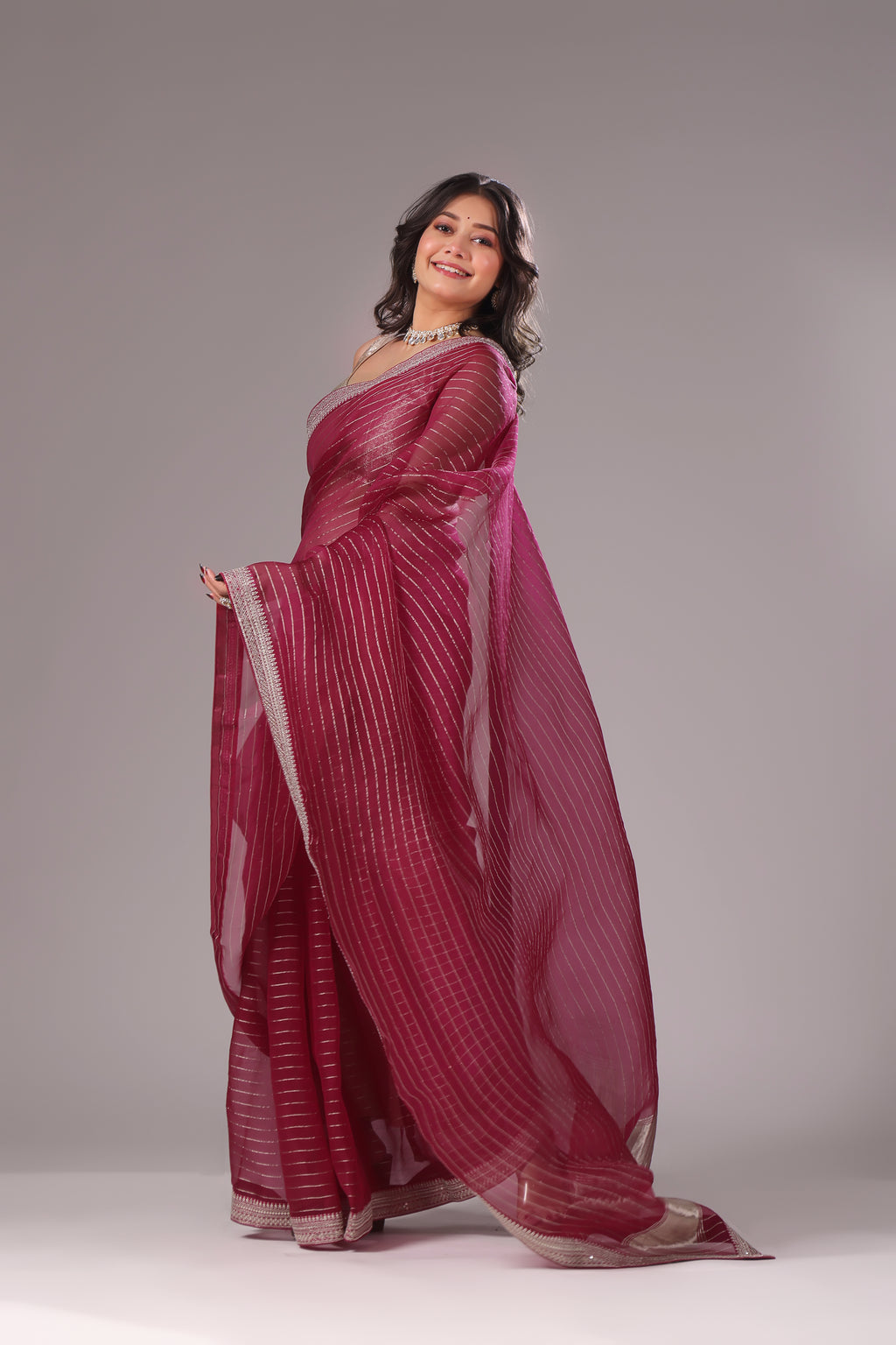 Checks Organza Zari Border