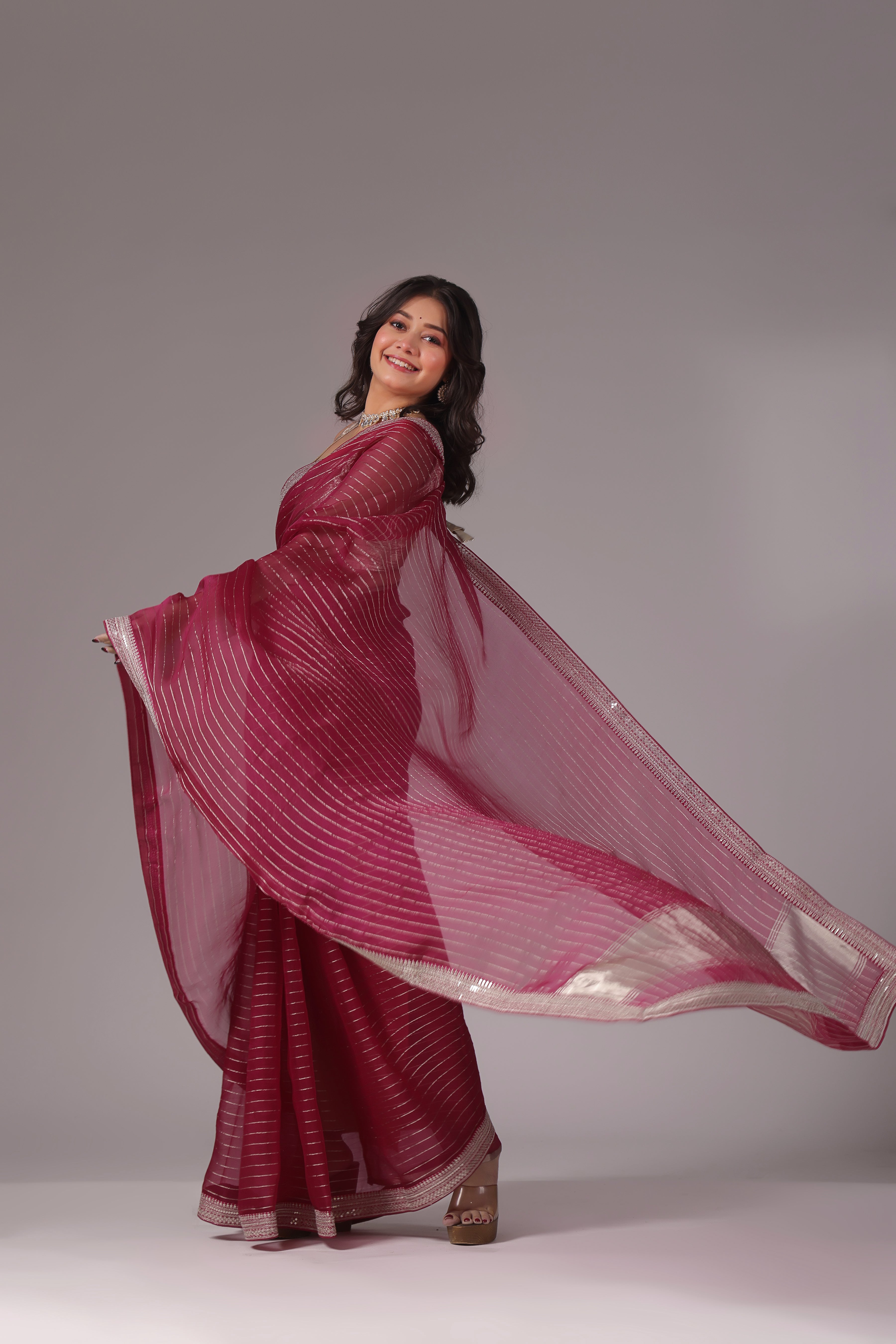 Checks Organza Zari Border