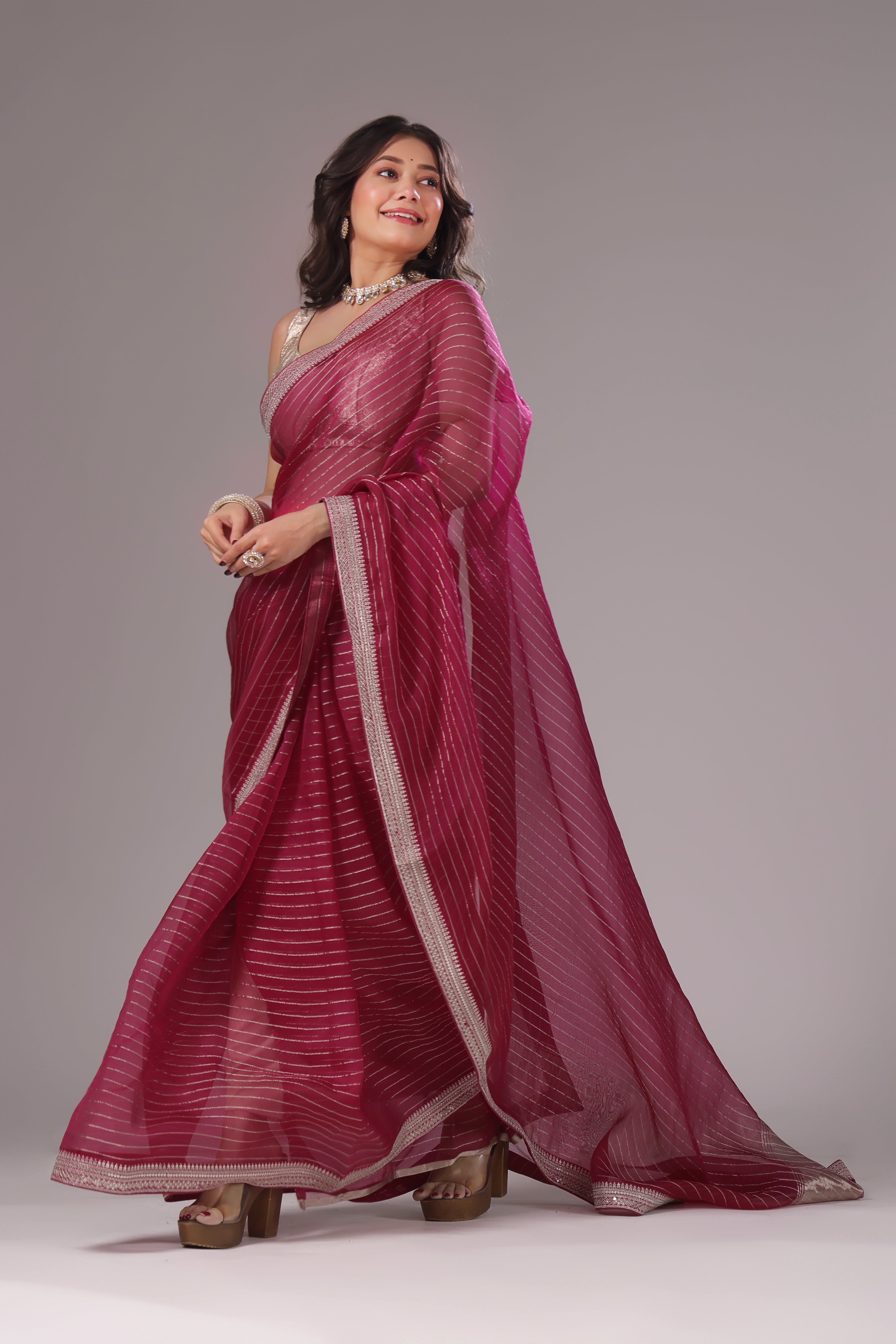 Checks Organza Zari Border