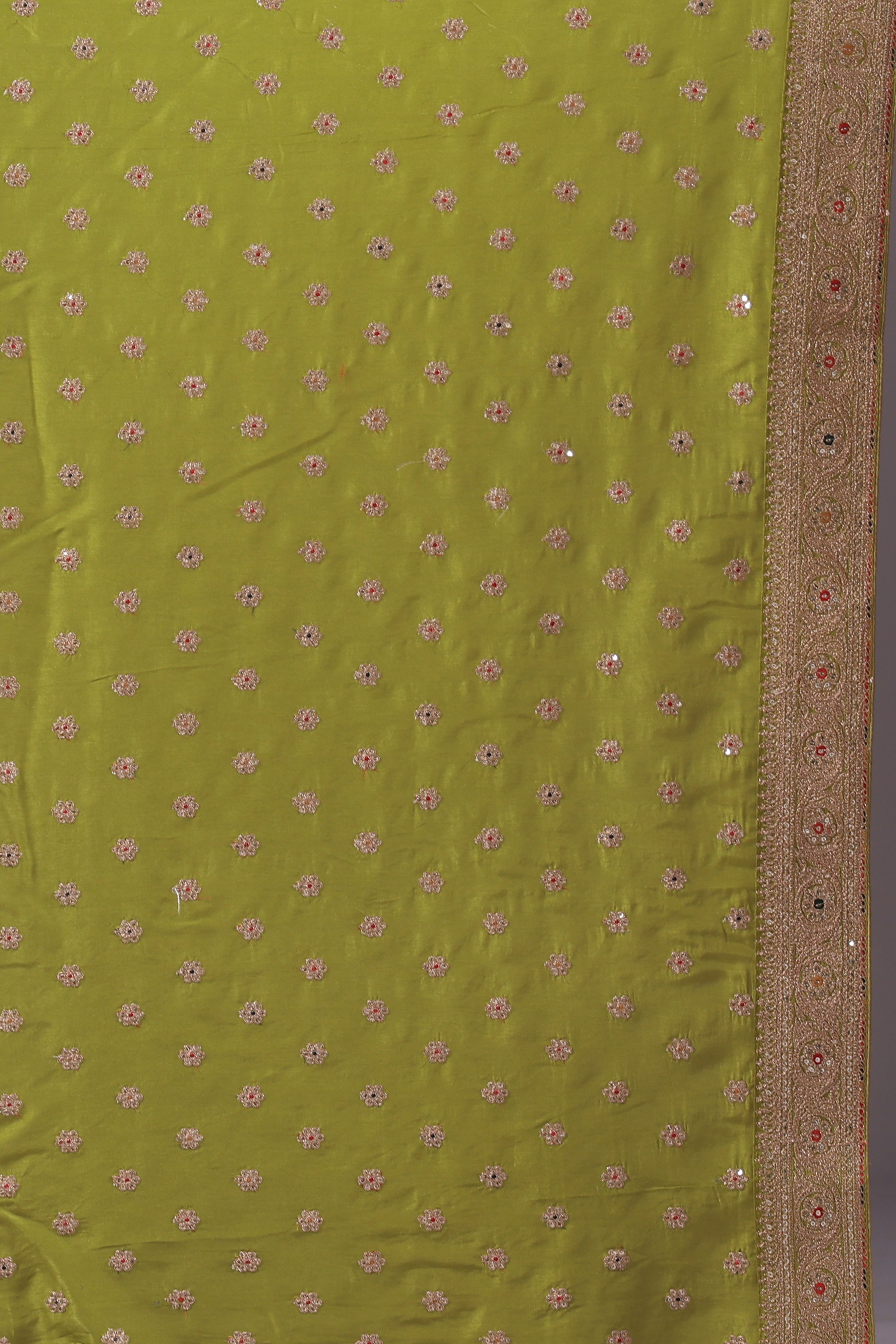 Organza Zari Border