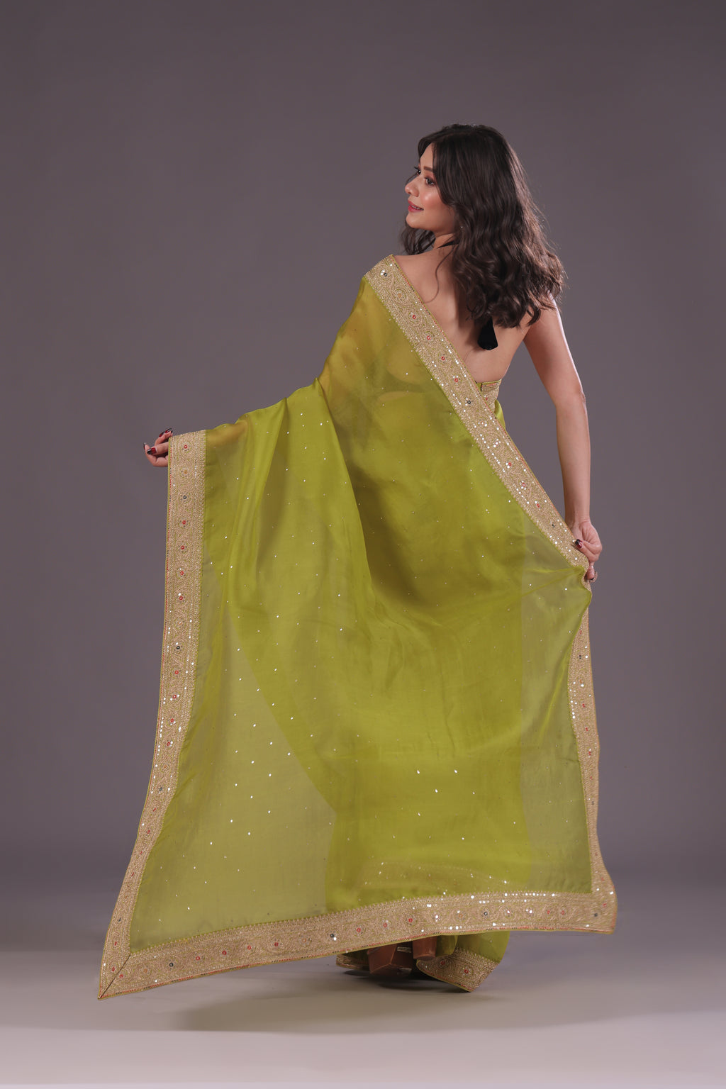 Organza Zari Border