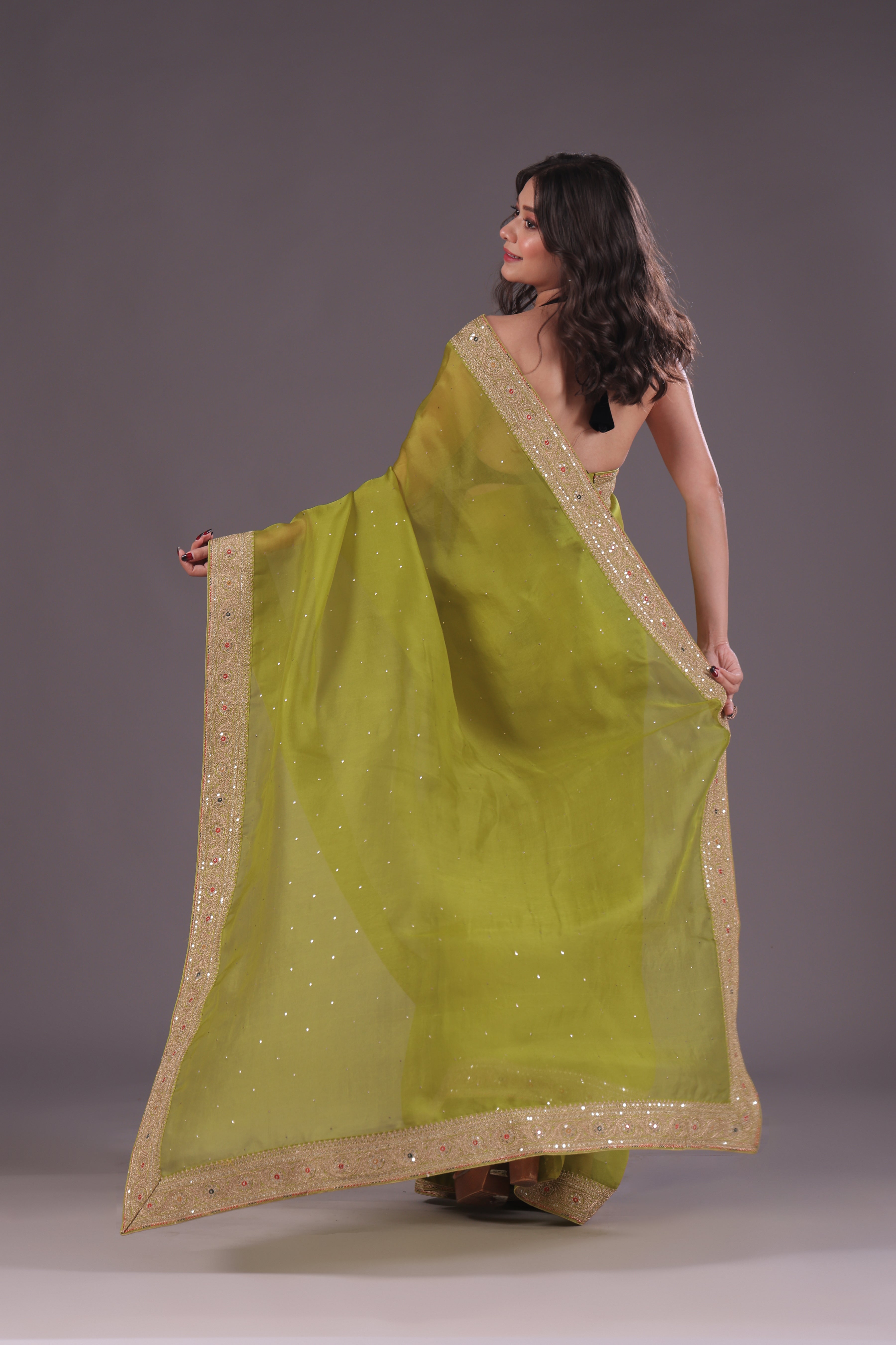Organza Zari Border