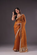 Checks Organza Zari Border