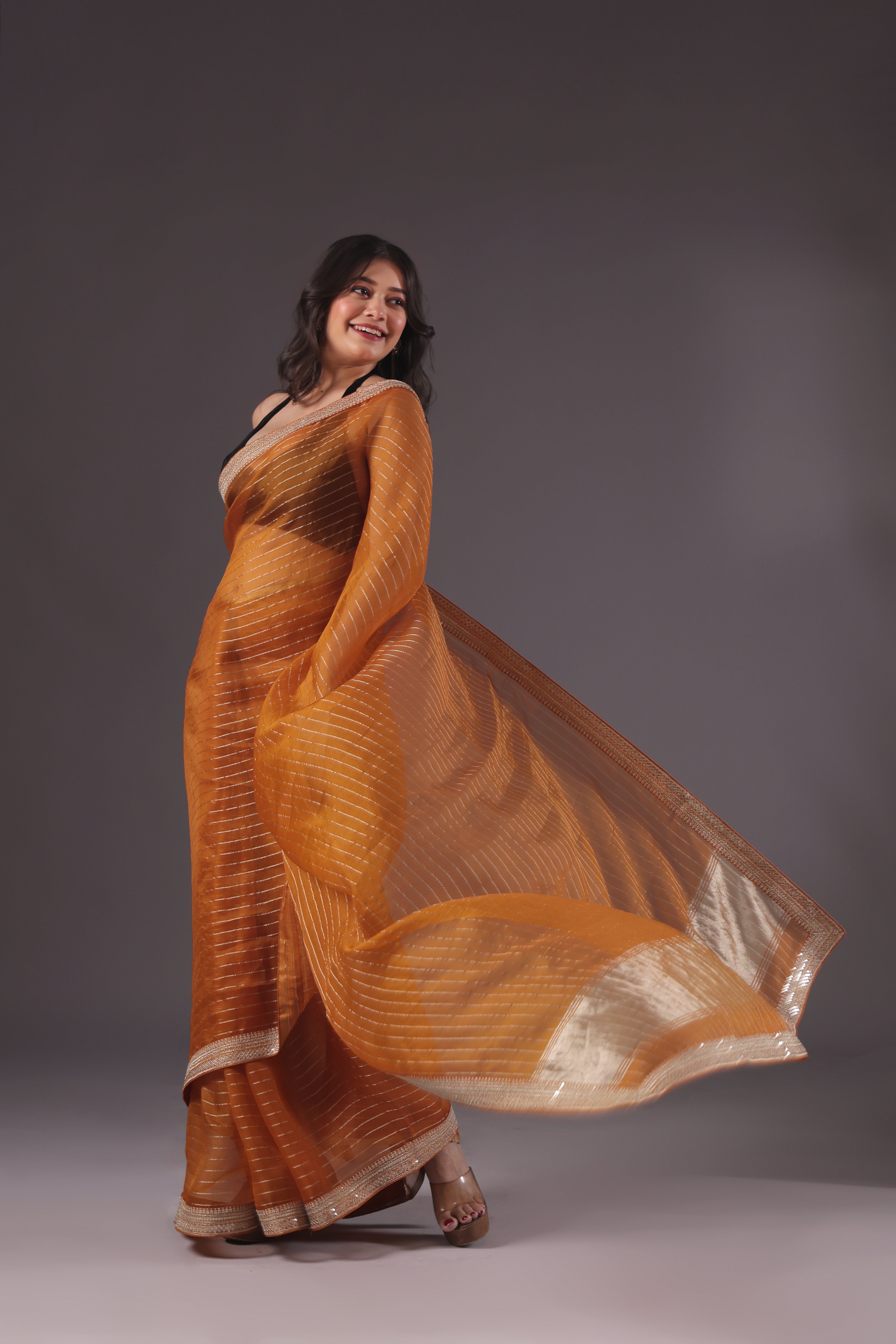 Checks Organza Zari Border