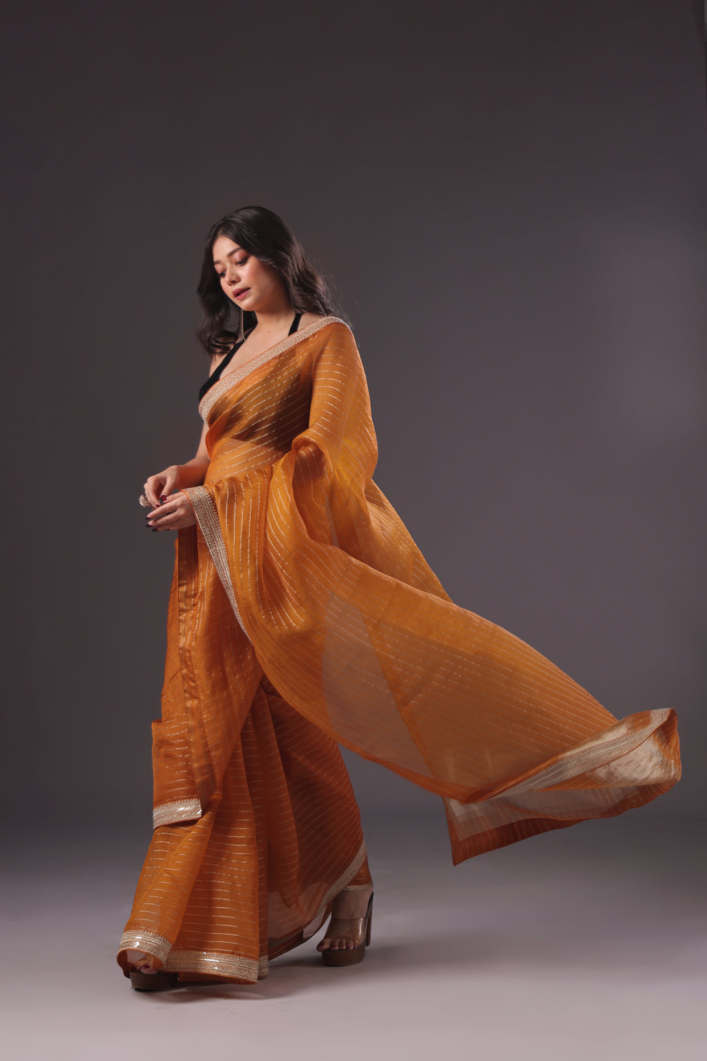 Checks Organza Zari Border