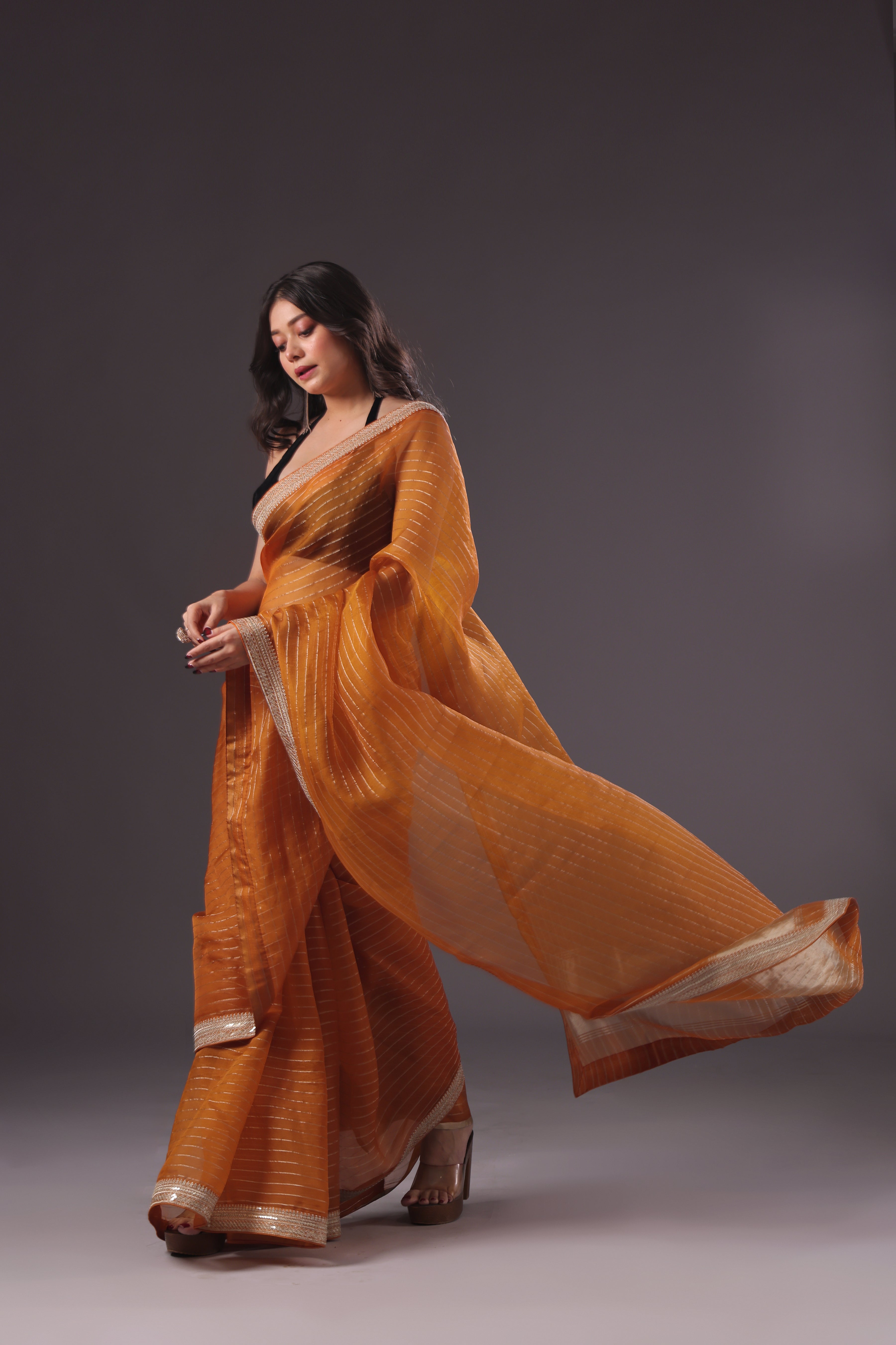 Checks Organza Zari Border