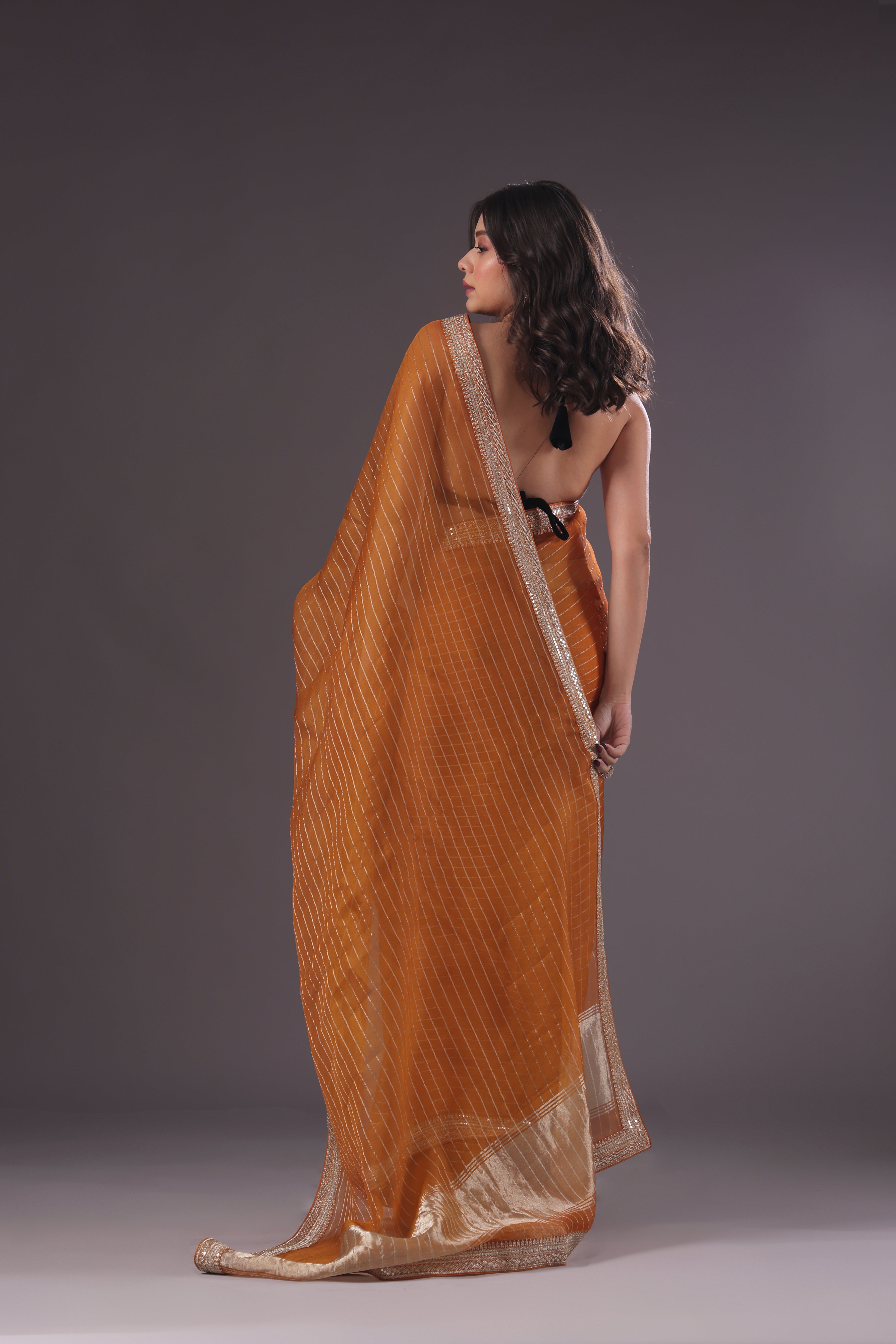 Checks Organza Zari Border