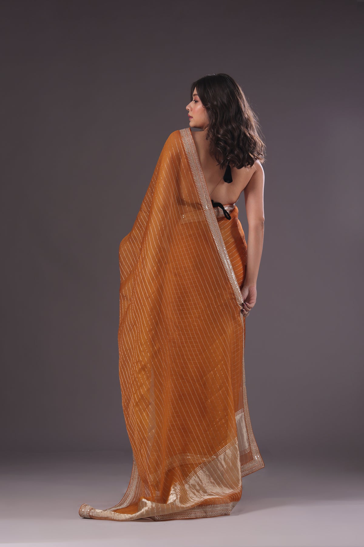 Checks Organza Zari Border
