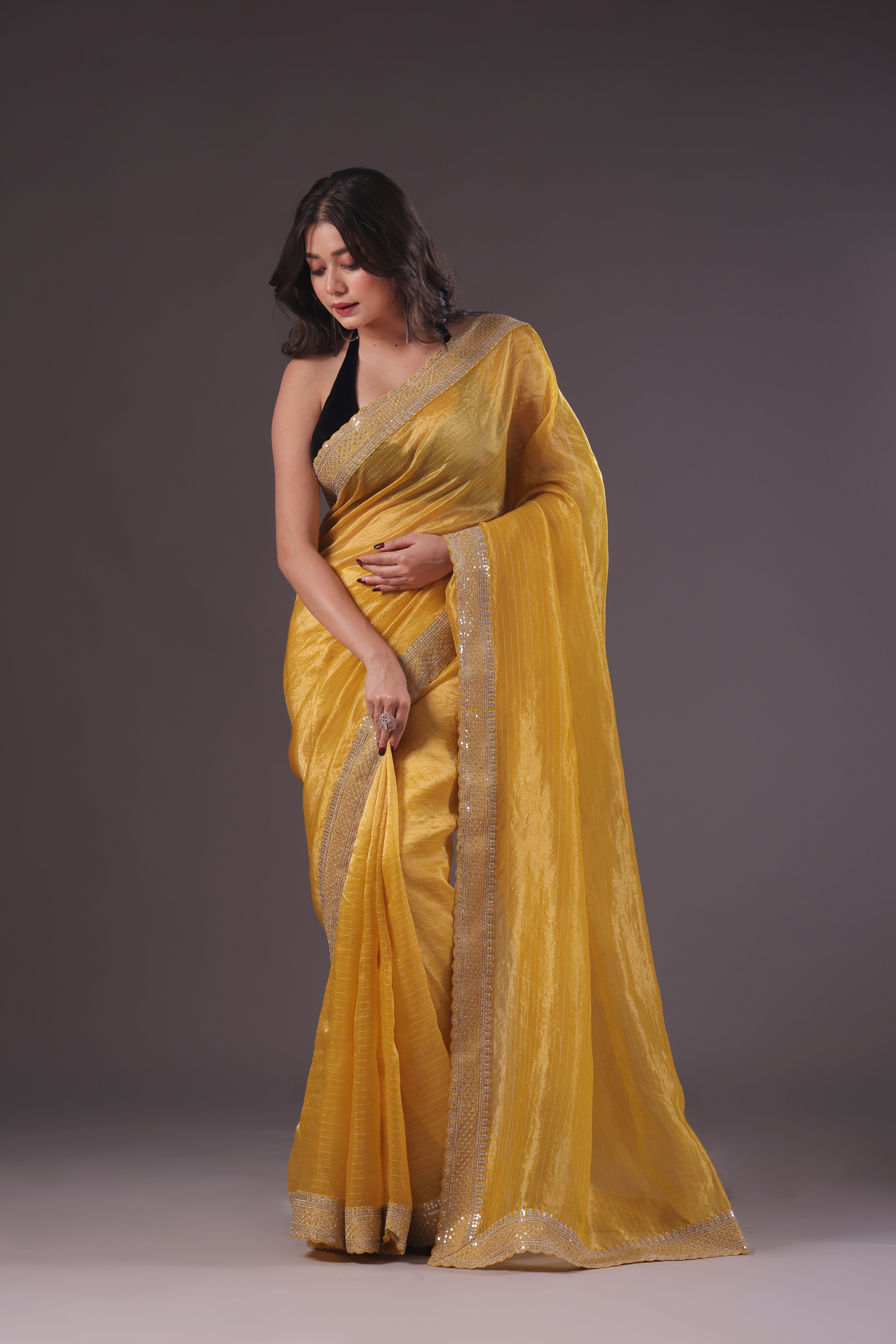 Organza Tissue Zari border