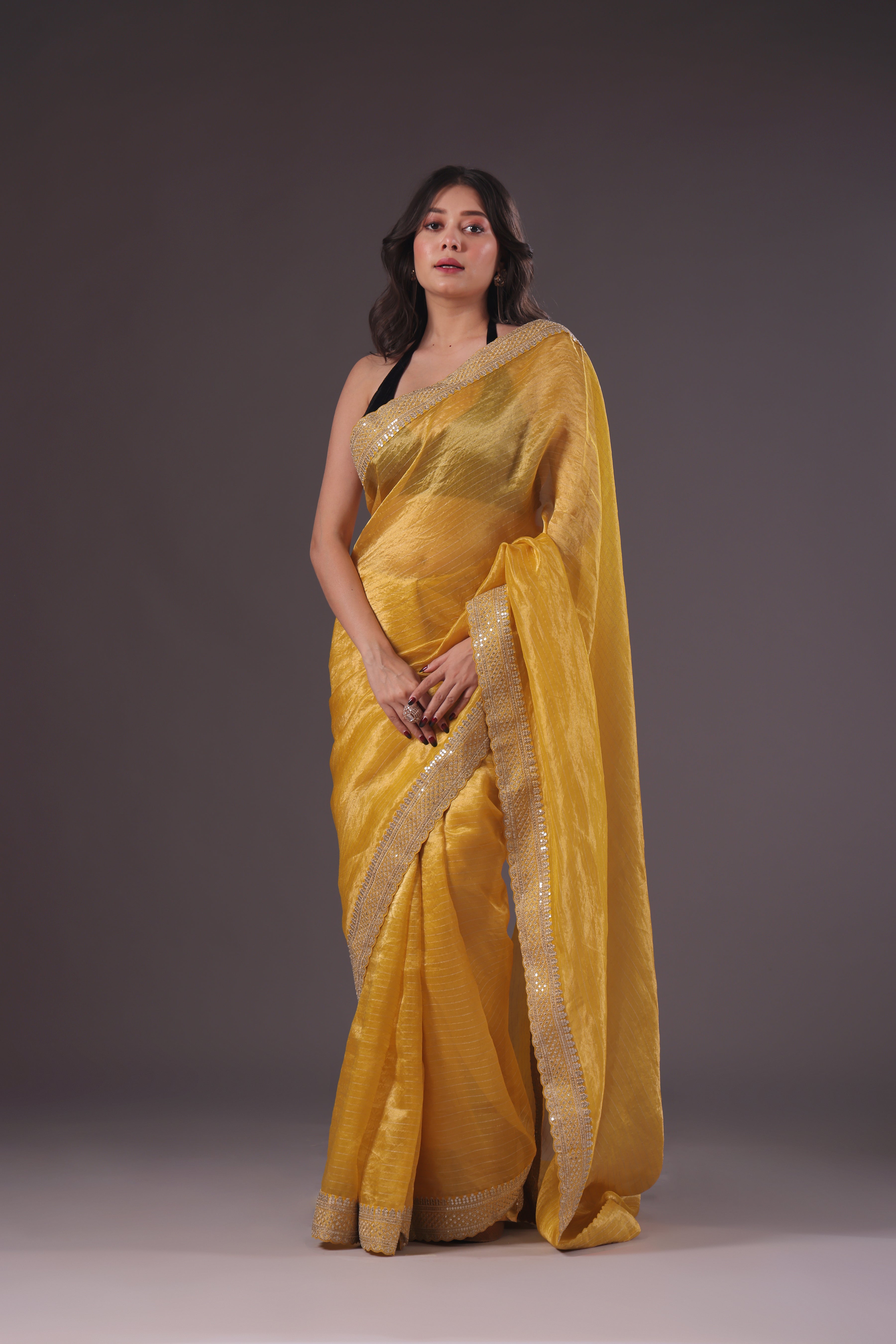 Organza Tissue Zari border