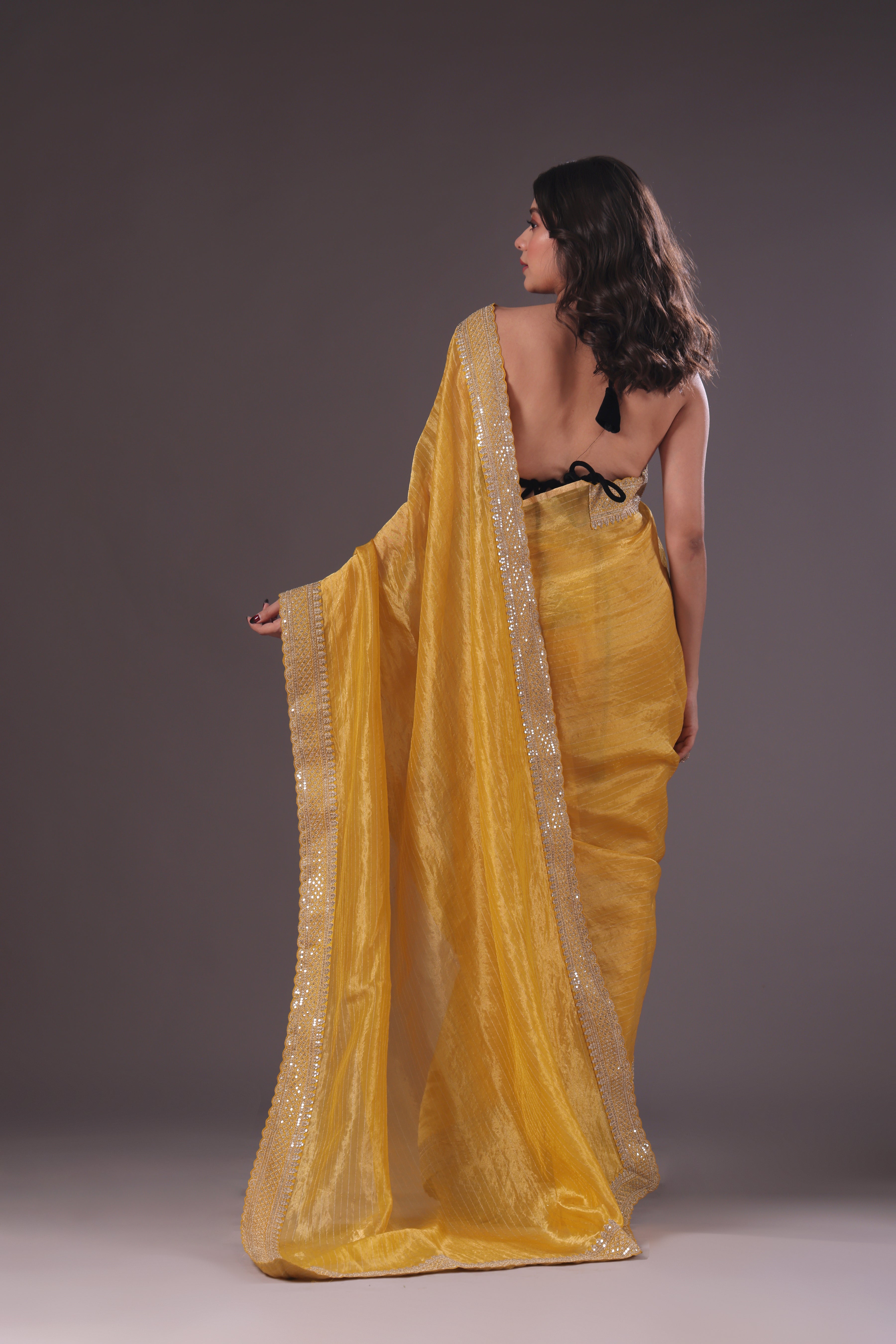 Organza Tissue Zari border