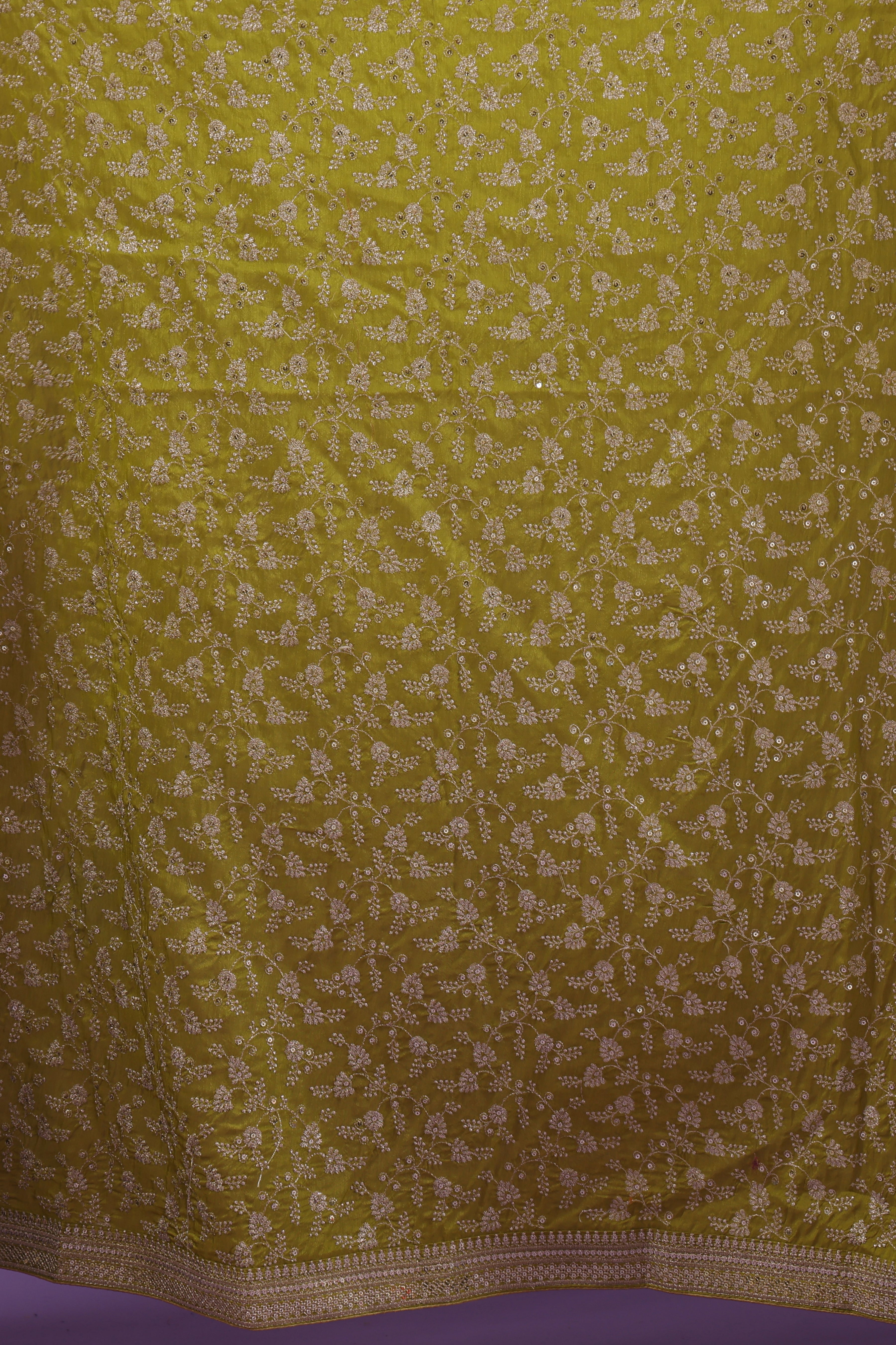 Checks Organza Zari Border