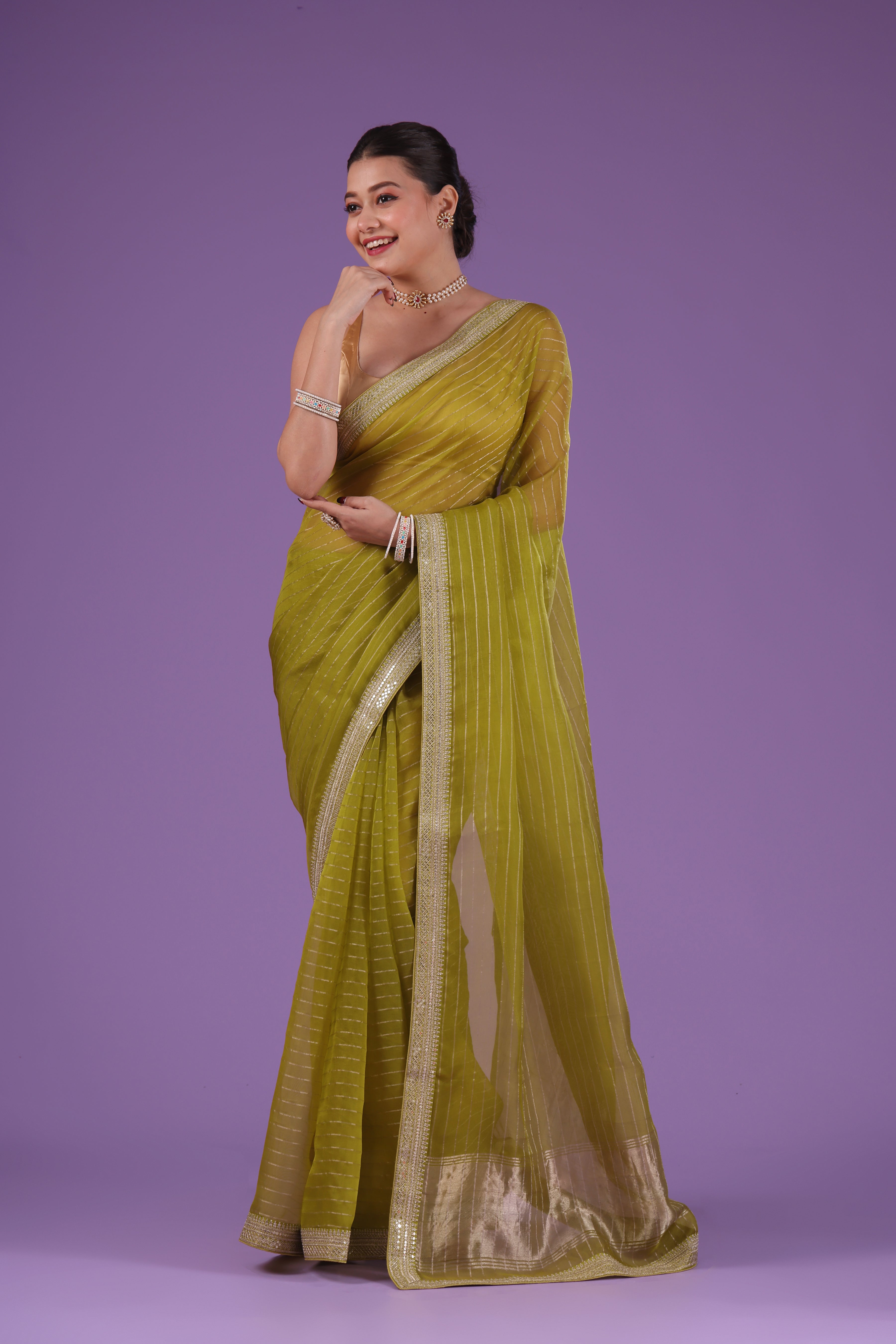 Checks Organza Zari Border