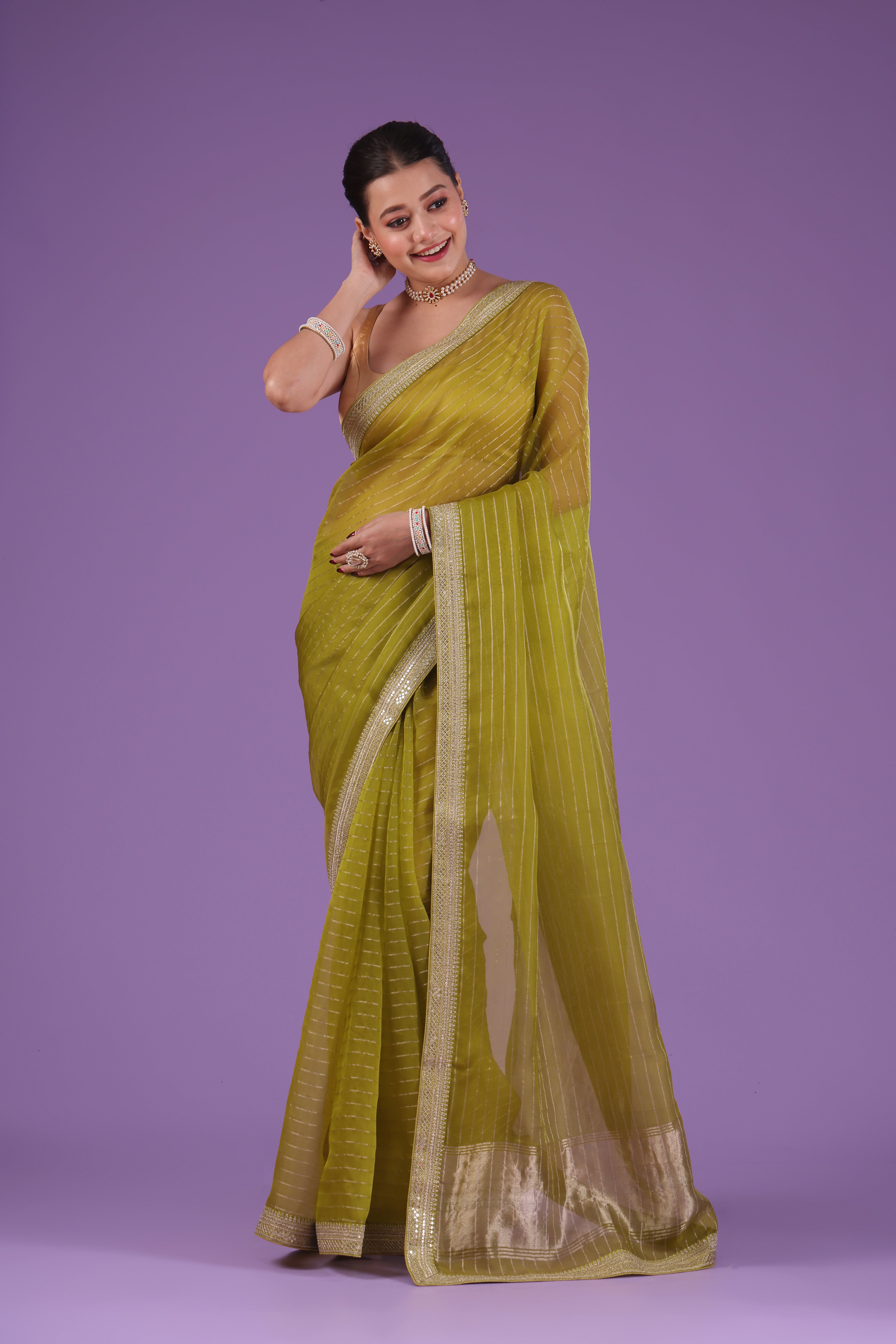 Checks Organza Zari Border