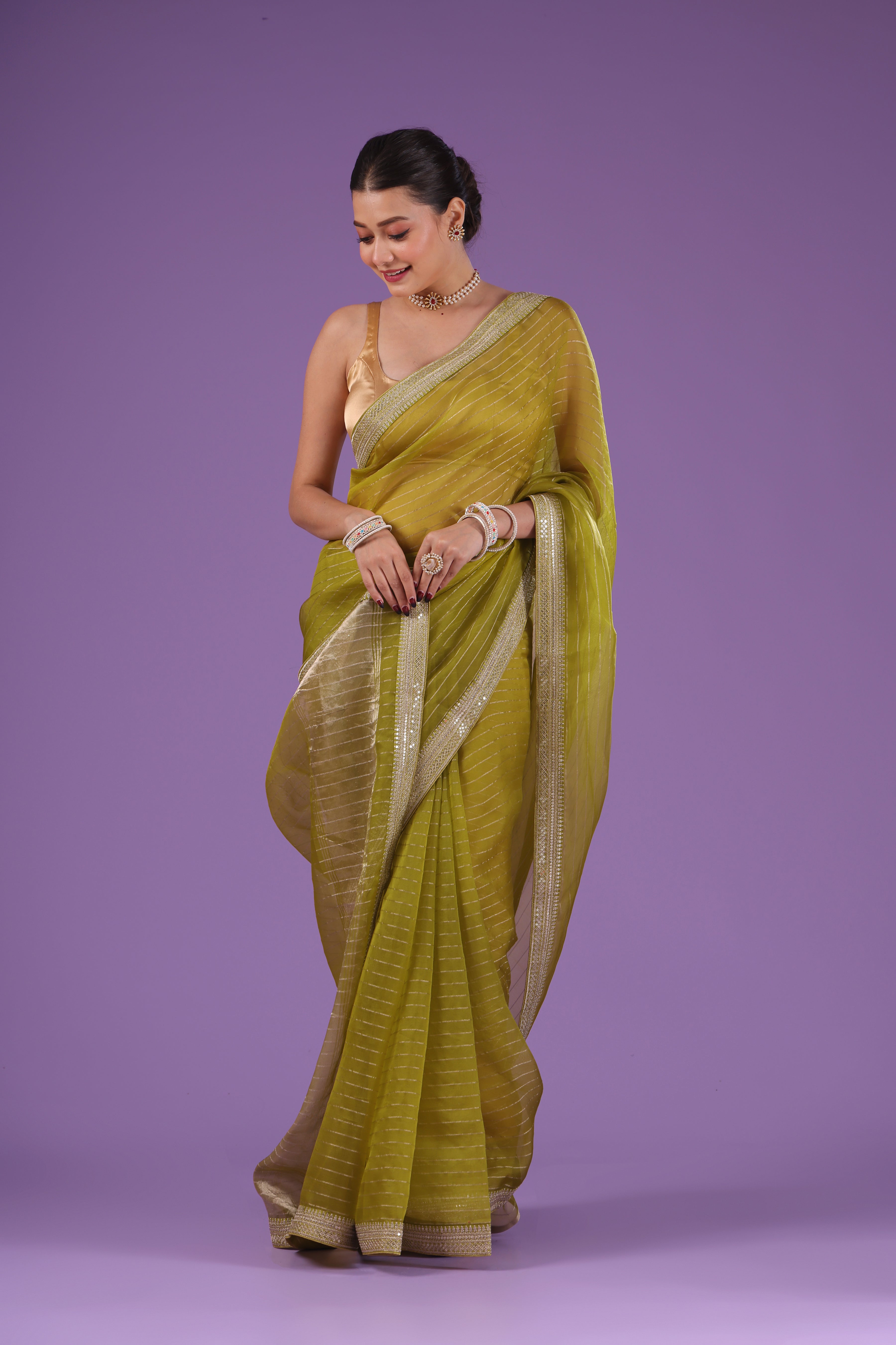 Checks Organza Zari Border