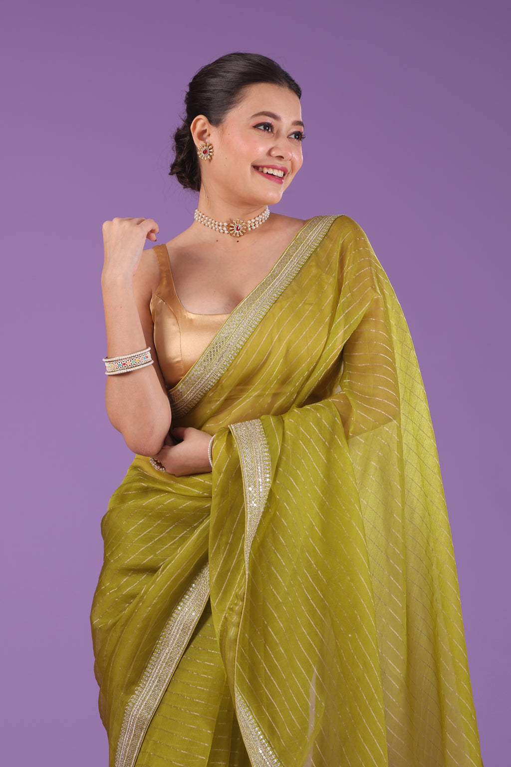 Checks Organza Zari Border