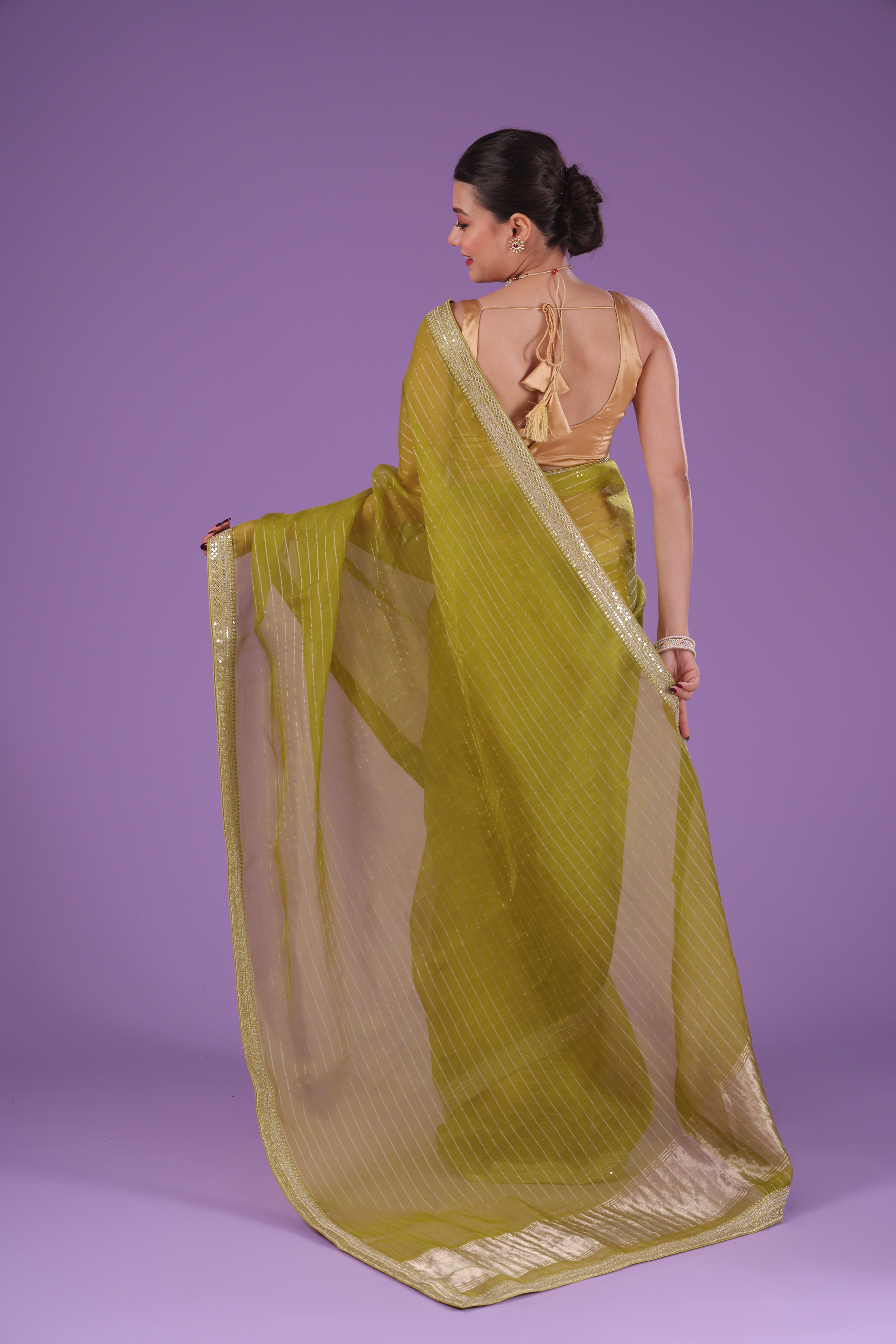 Checks Organza Zari Border