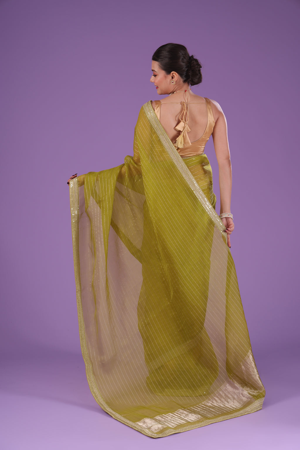 Checks Organza Zari Border